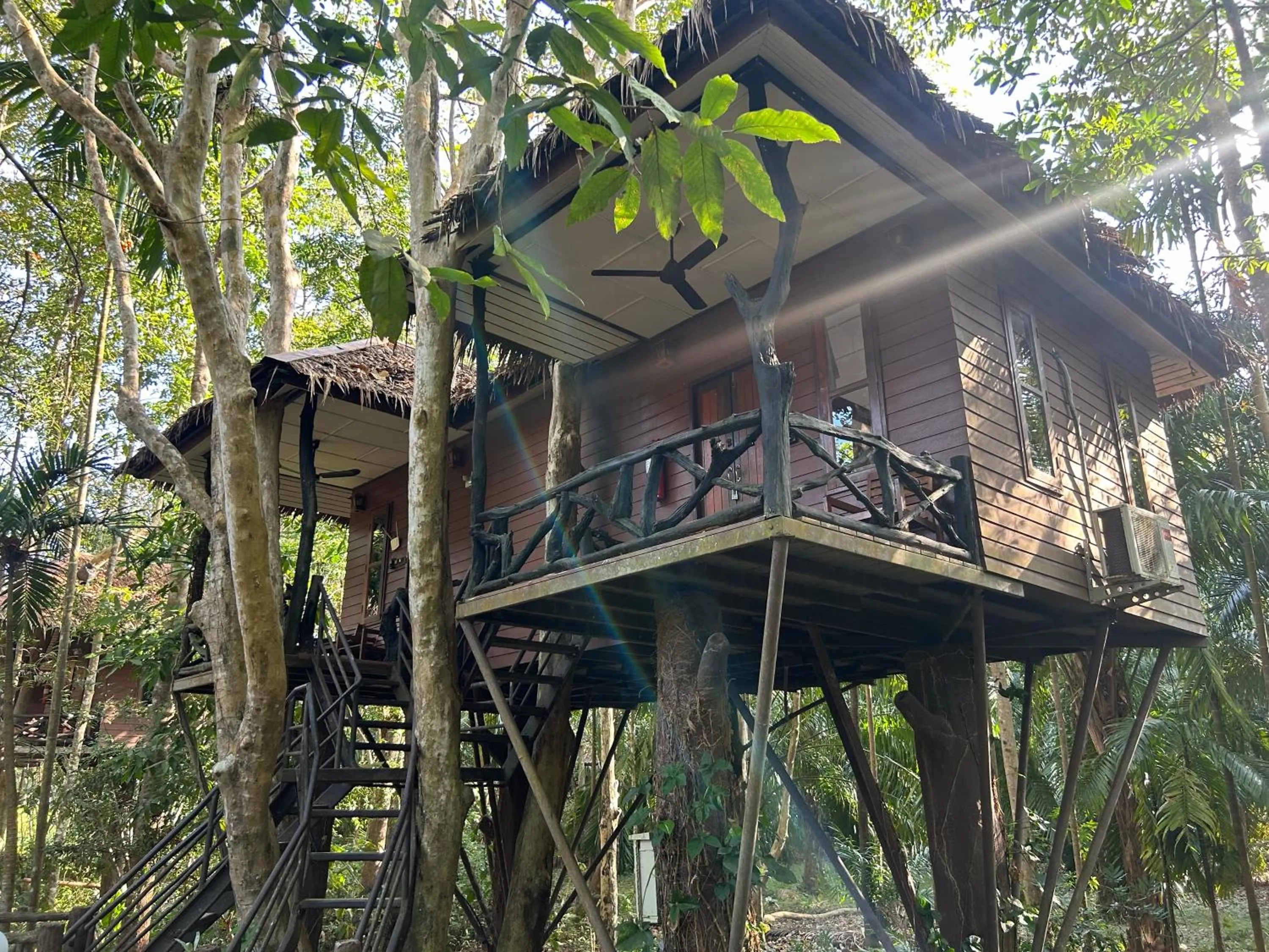 Property building in Khao Sok Paradise Resort