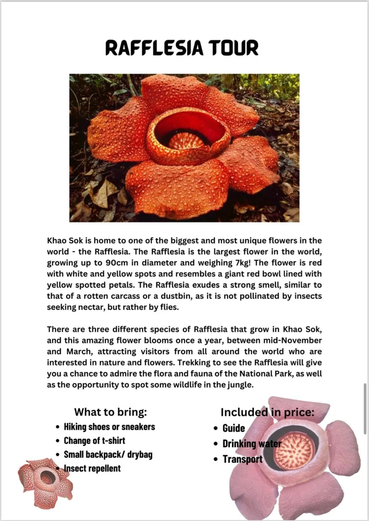 Khao Sok Paradise Resort