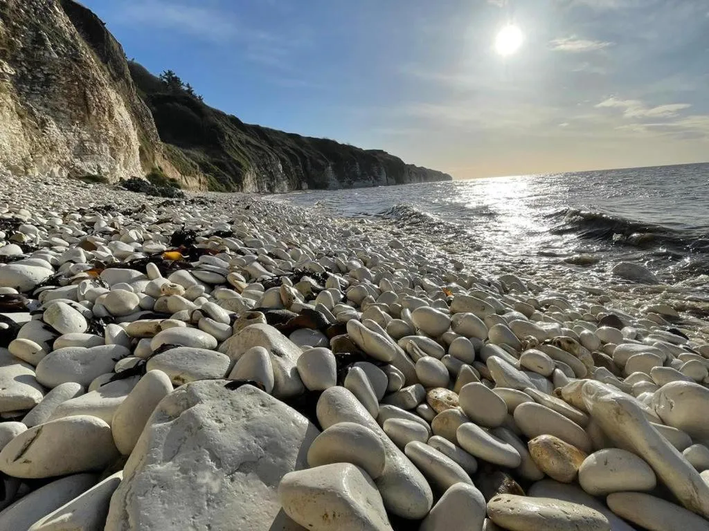 Natural landscape in Revelstoke Hotel