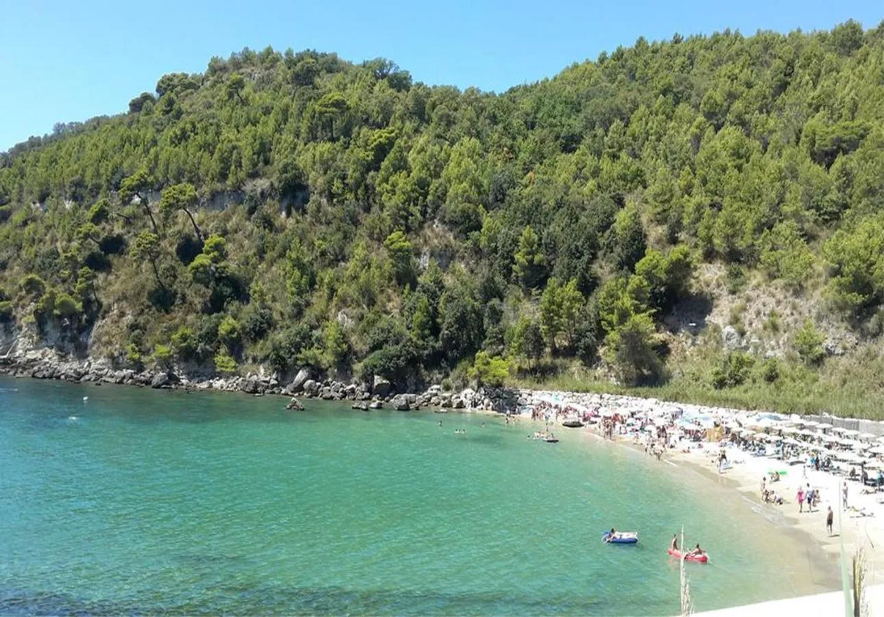 Natural landscape in Butterfly B&B