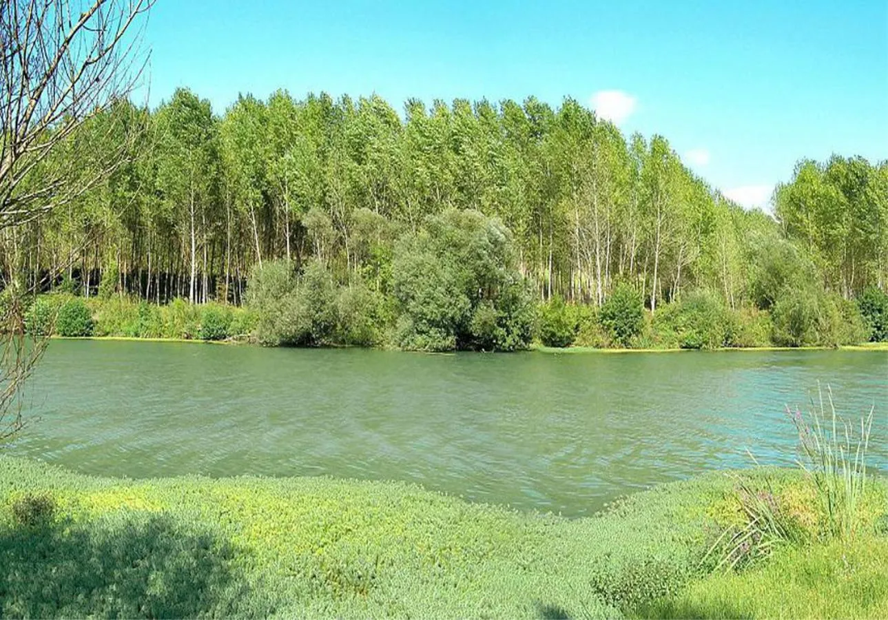 Nearby landmark in Butterfly B&B