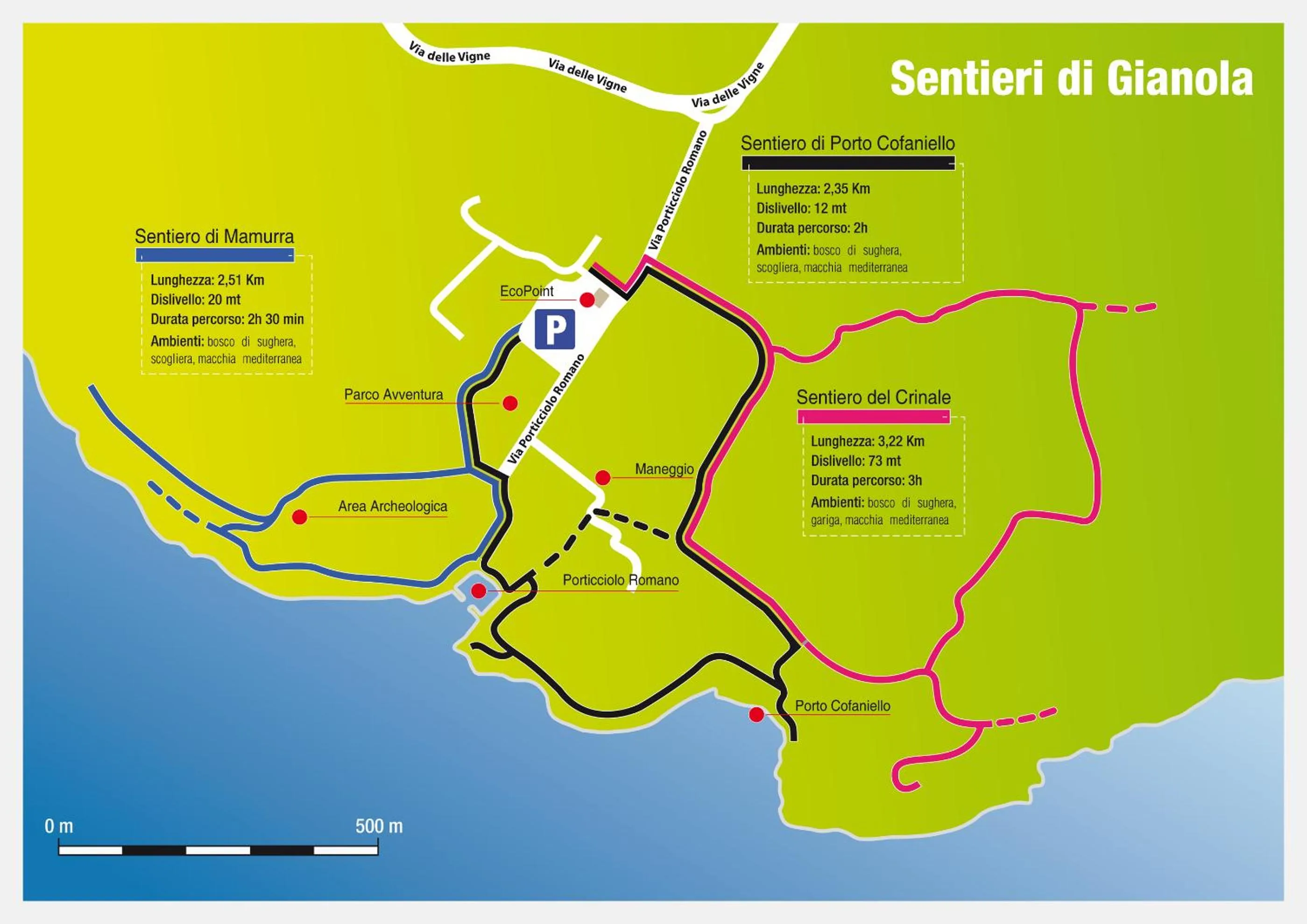 Bird's eye view in Butterfly B&B