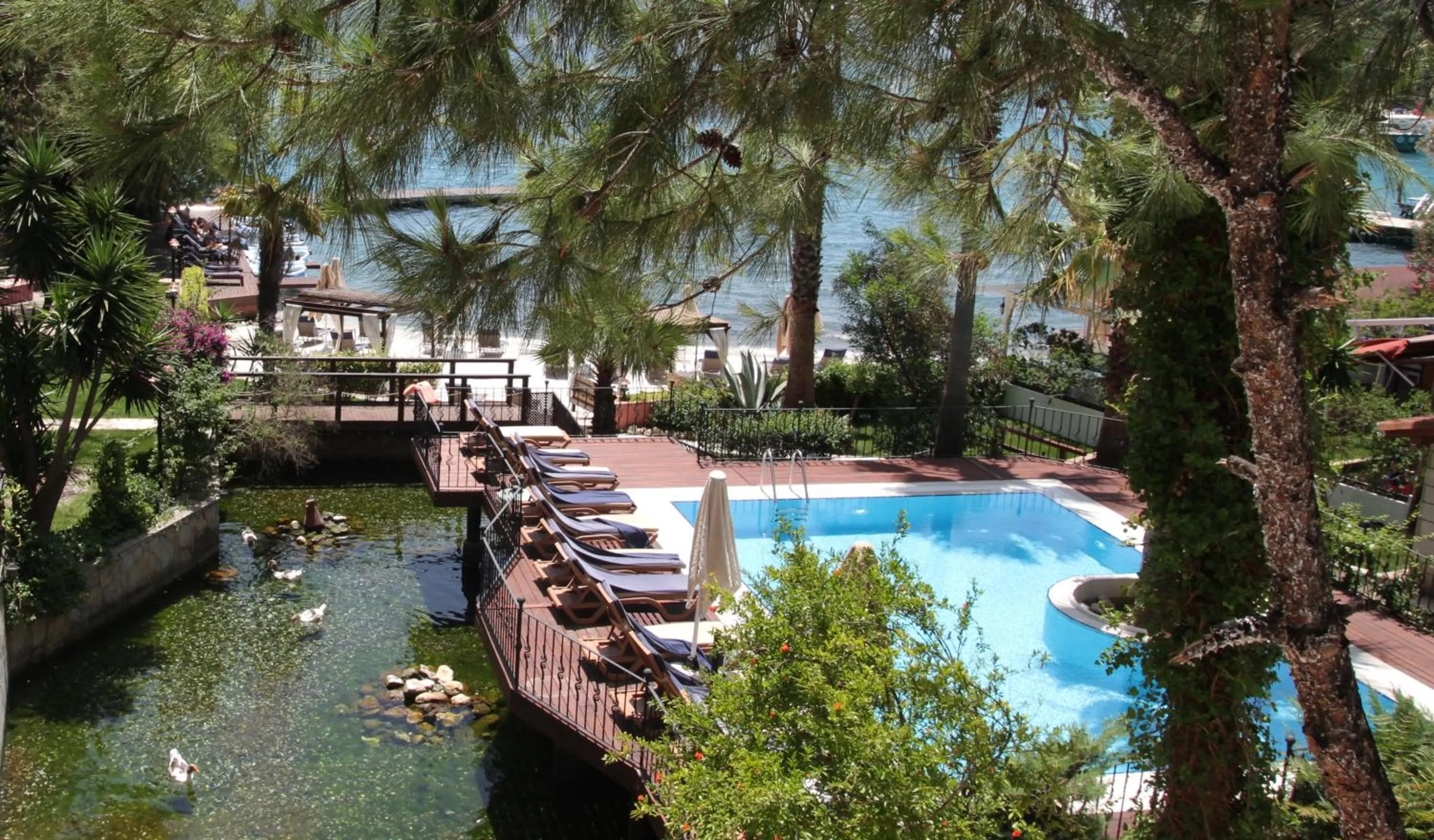 Pool view in Baga Hotel