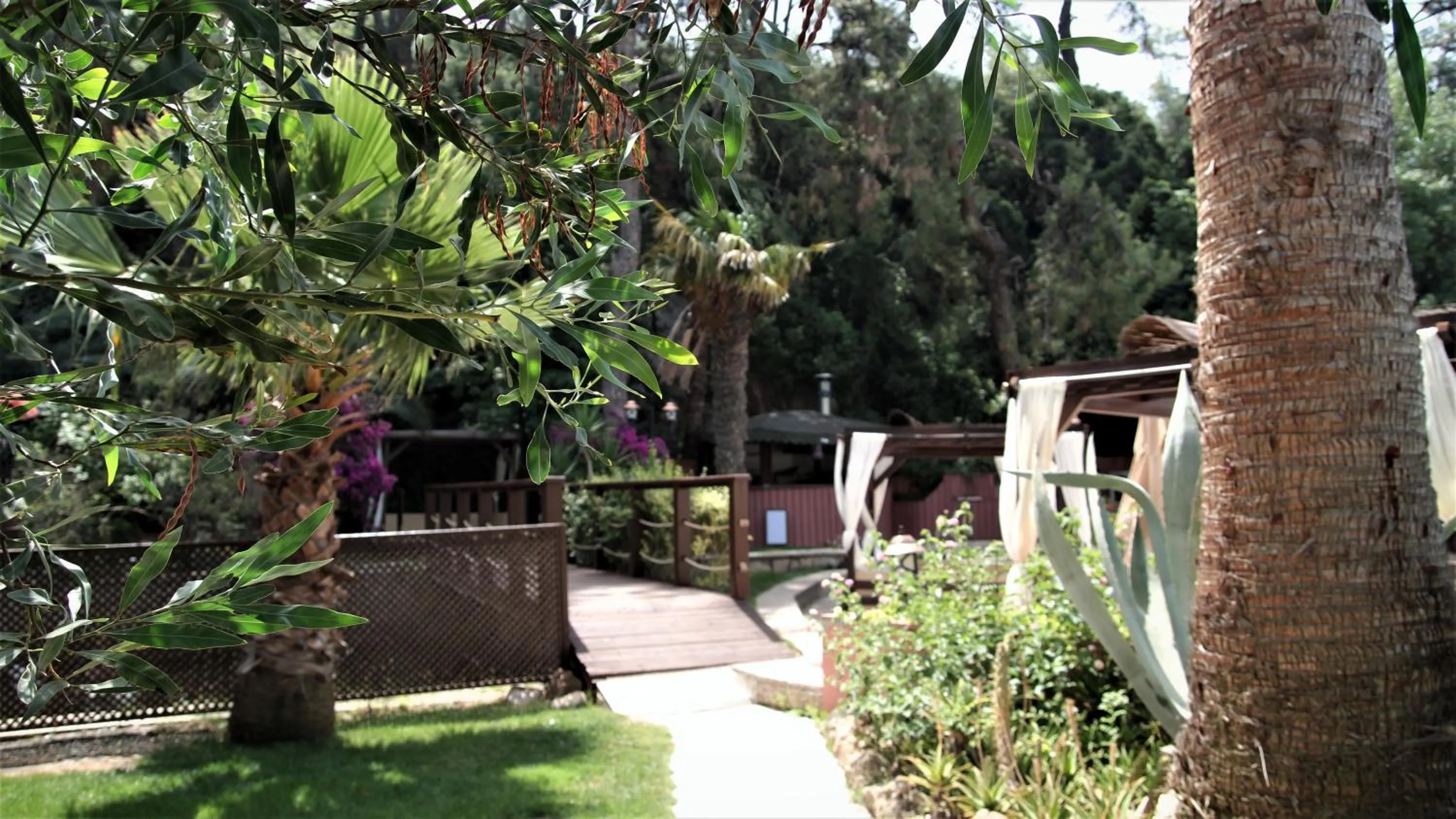 Garden in Baga Hotel