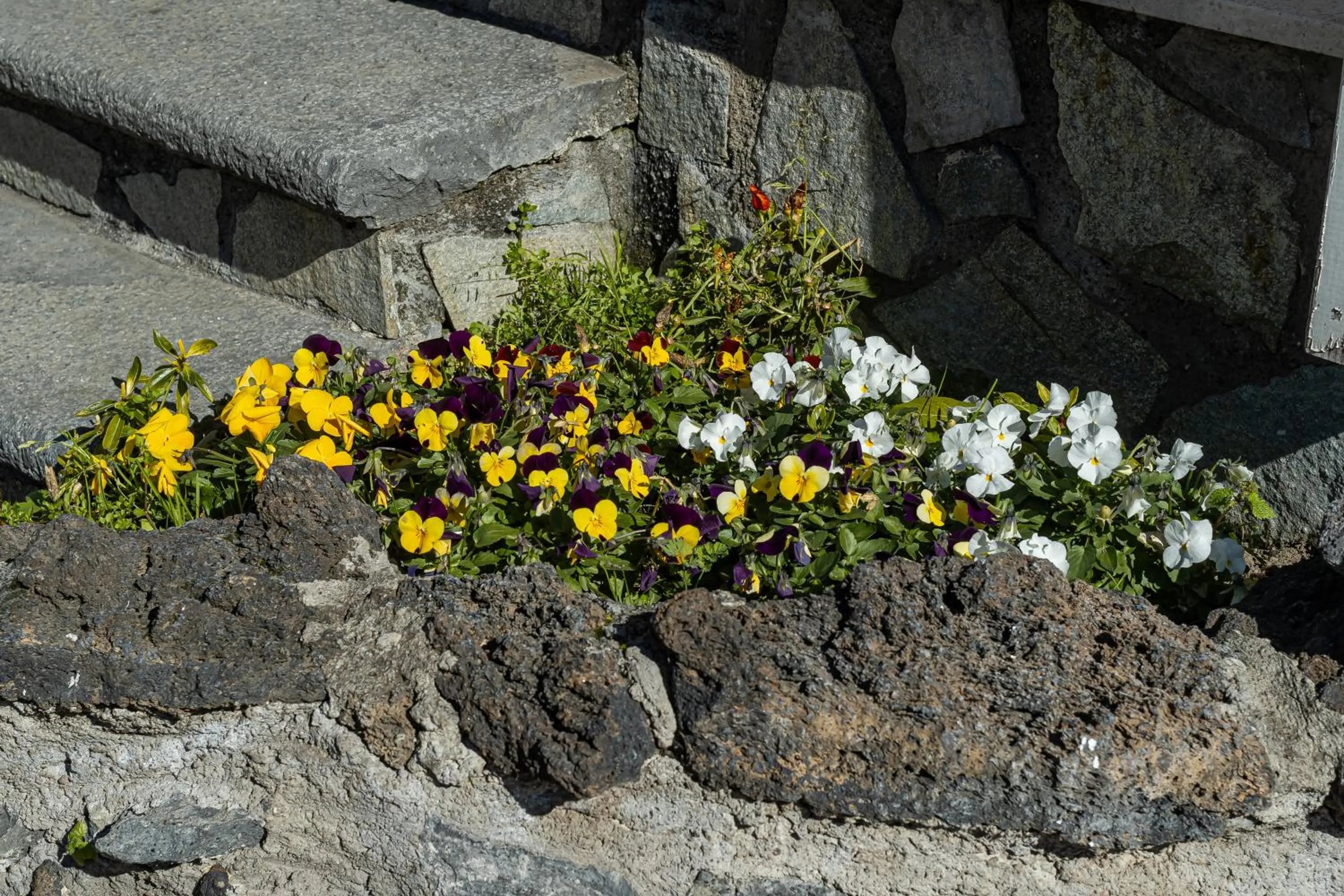 Spring in B&B VESUVIAN STONE