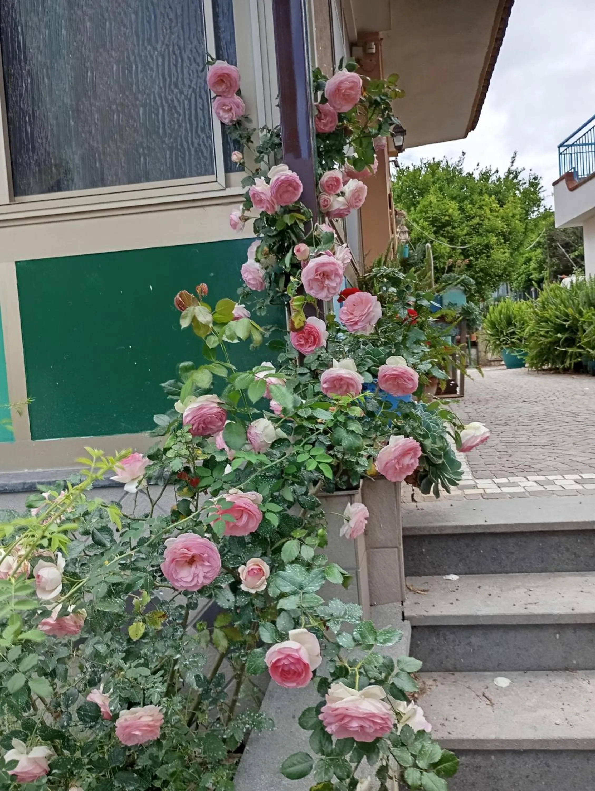 Lemontree House Bacoli