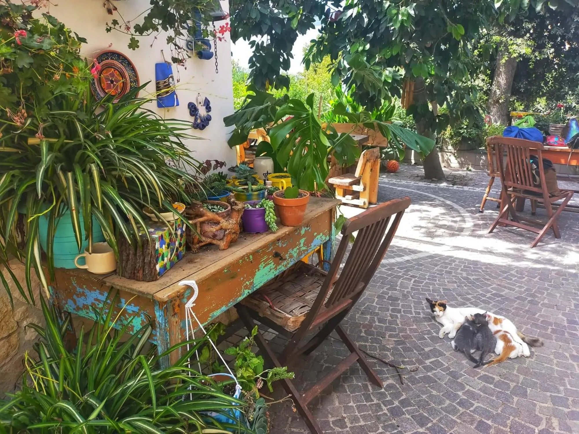 Lemontree House Bacoli