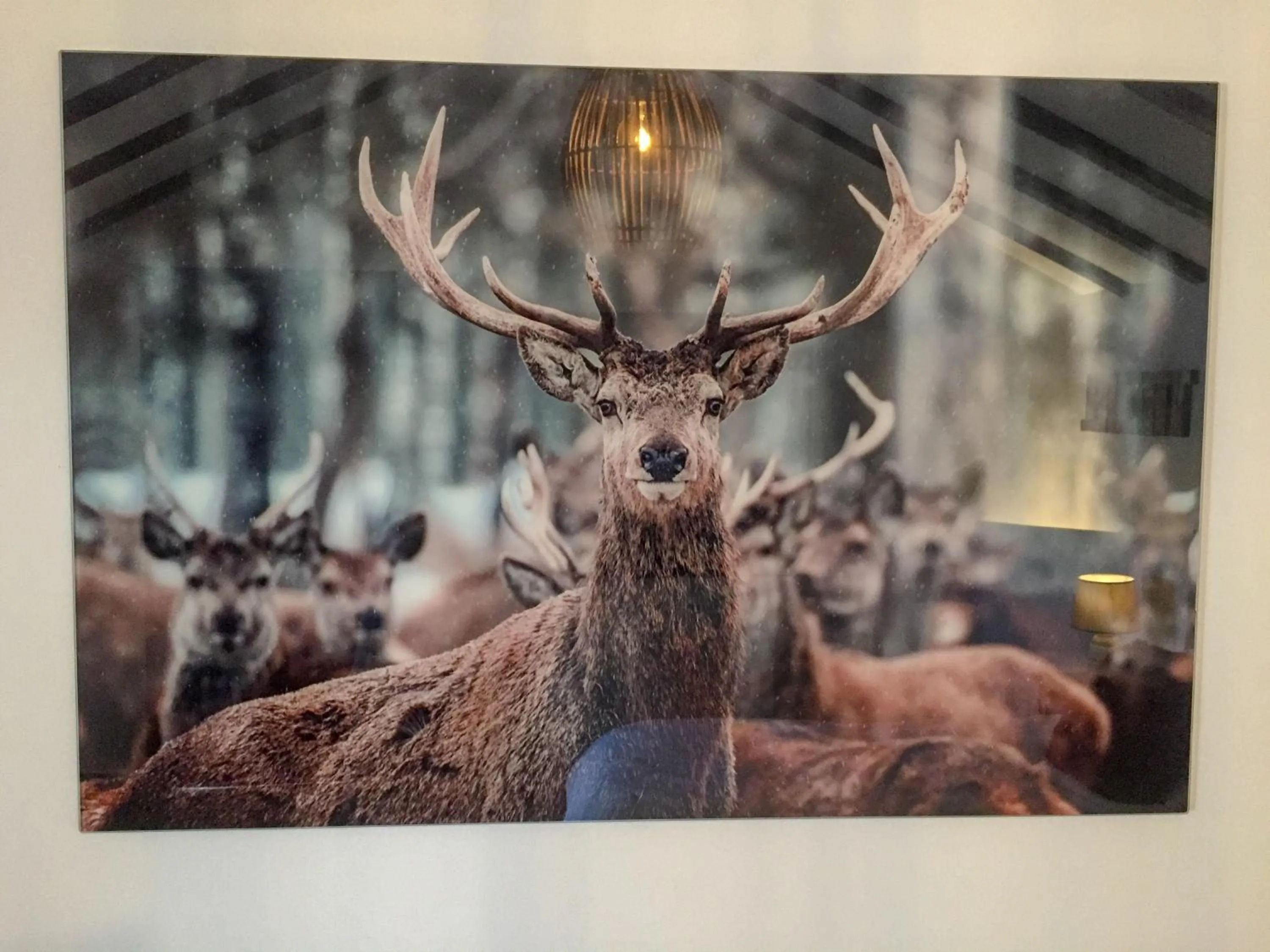 Decorative detail in B&B Casa Luz del Sur, adults only