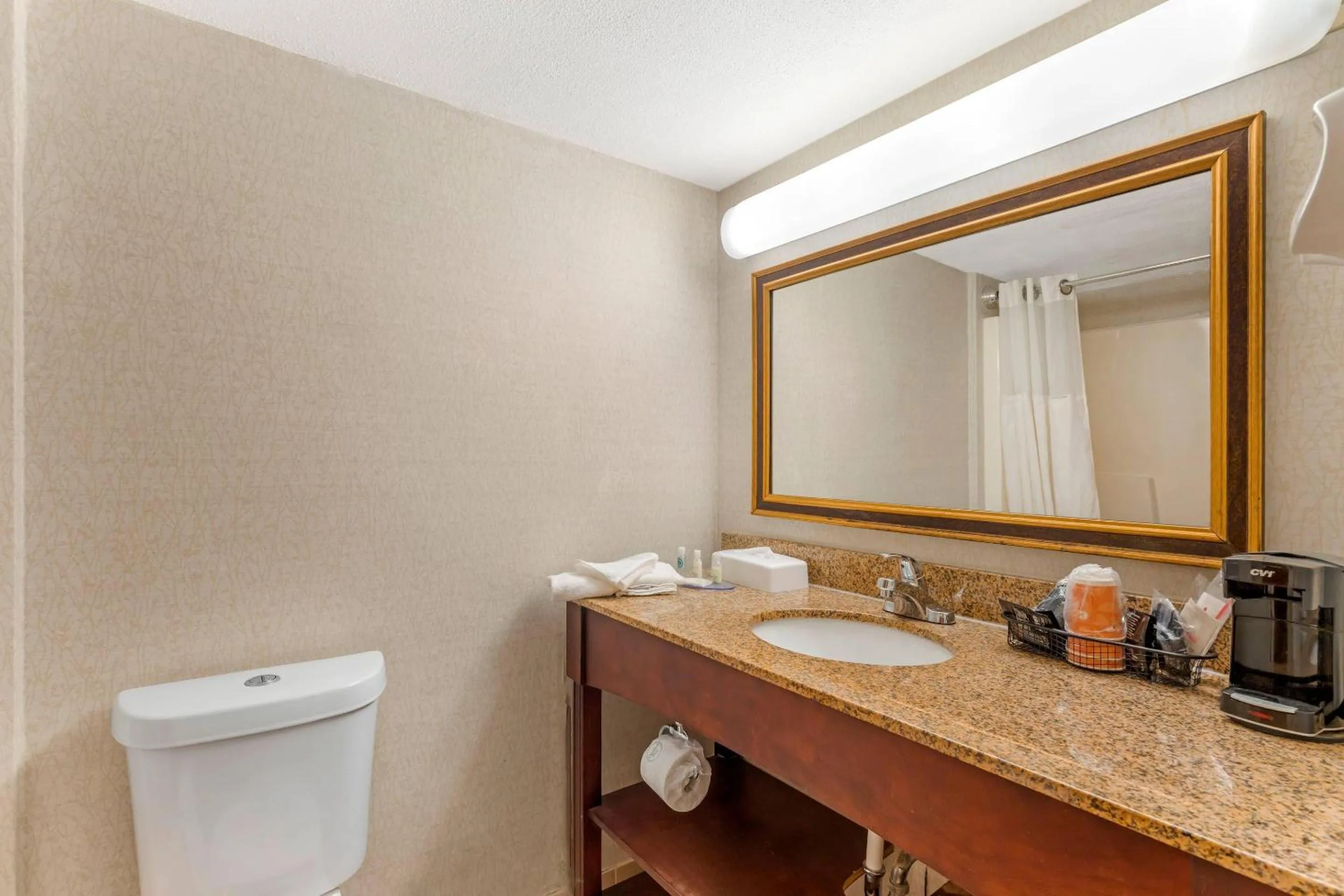 Bedroom in Clarion Hotel & Conference Center Lansing West