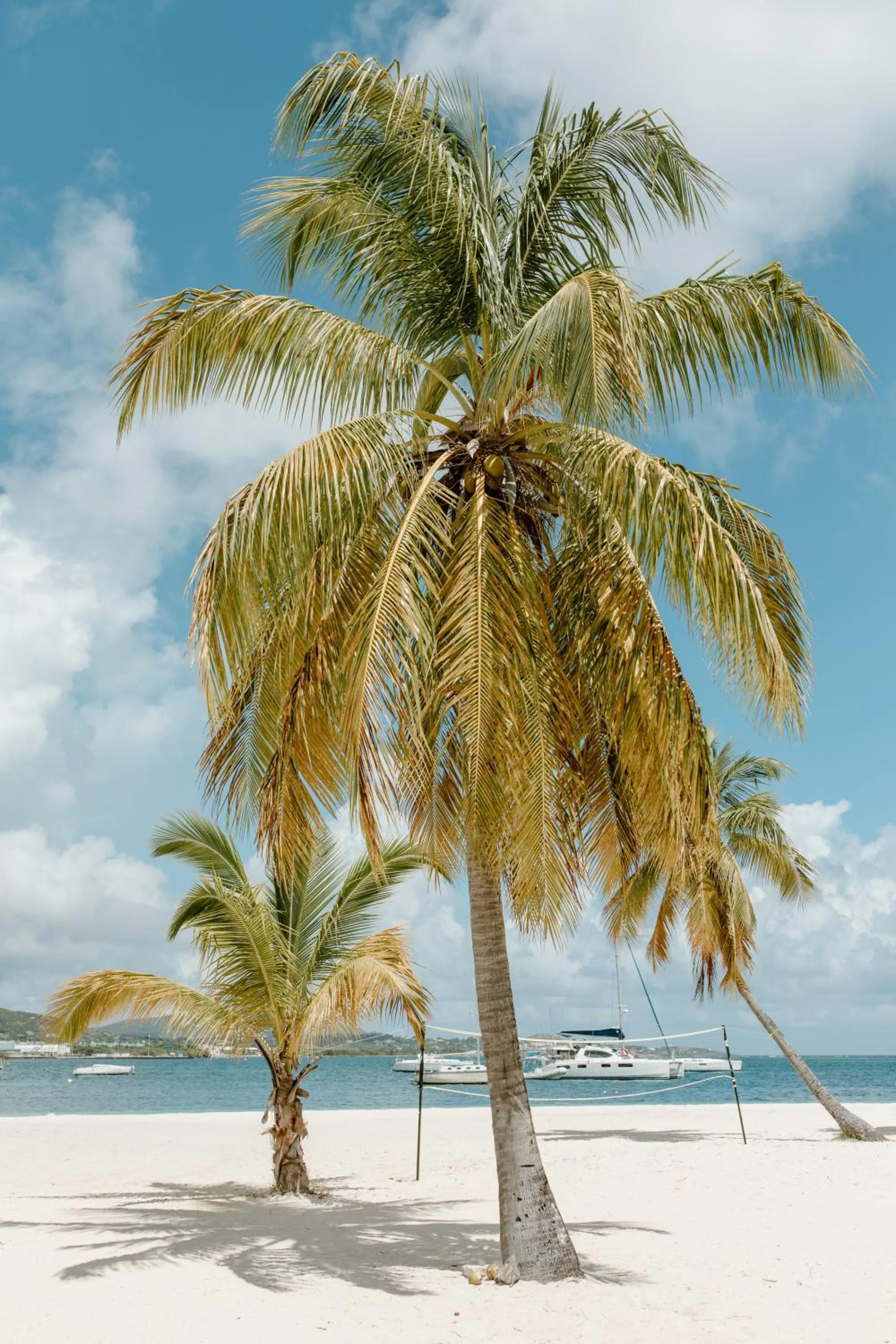 Beach in Hotel on the Cay