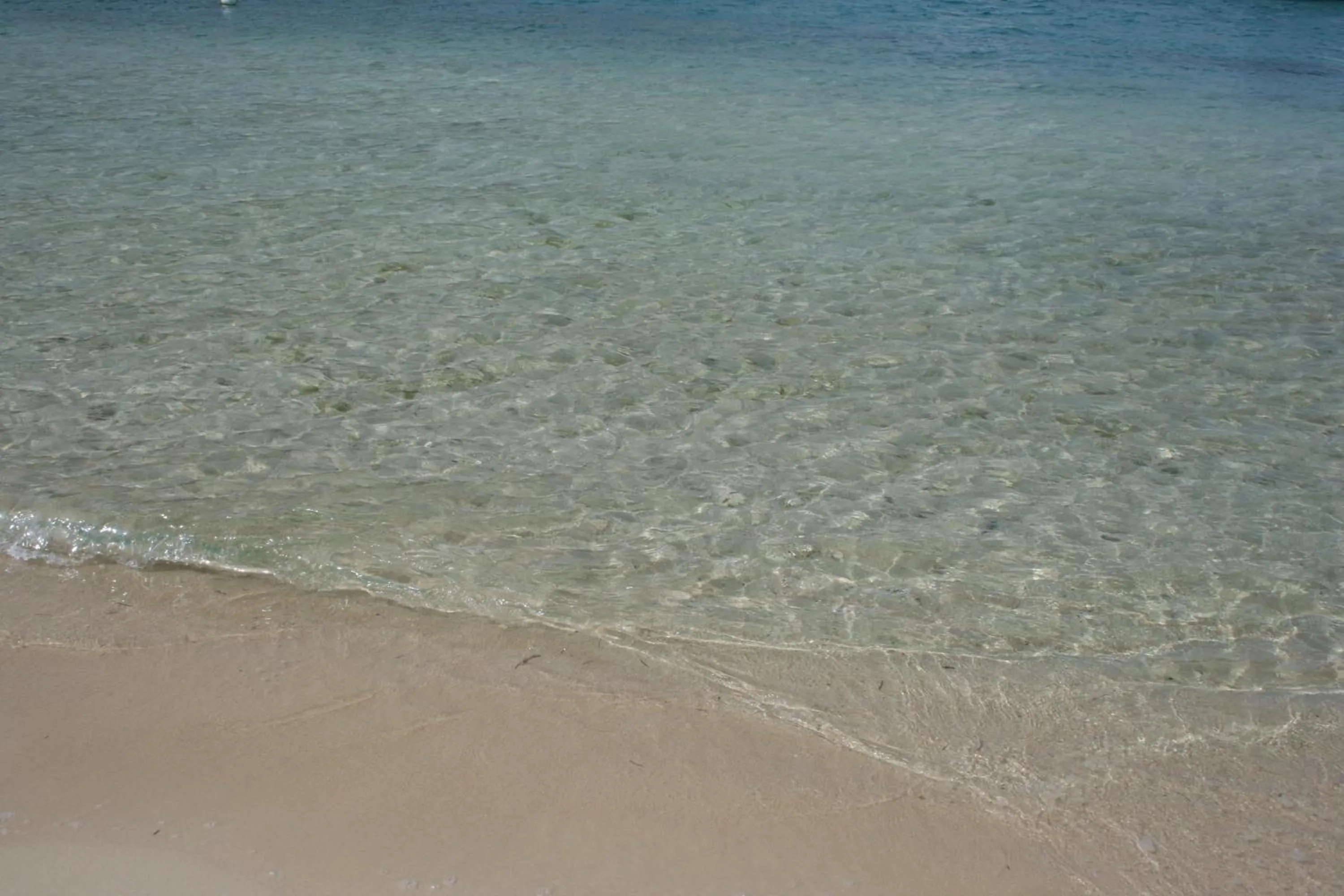 Beach in Hotel on the Cay