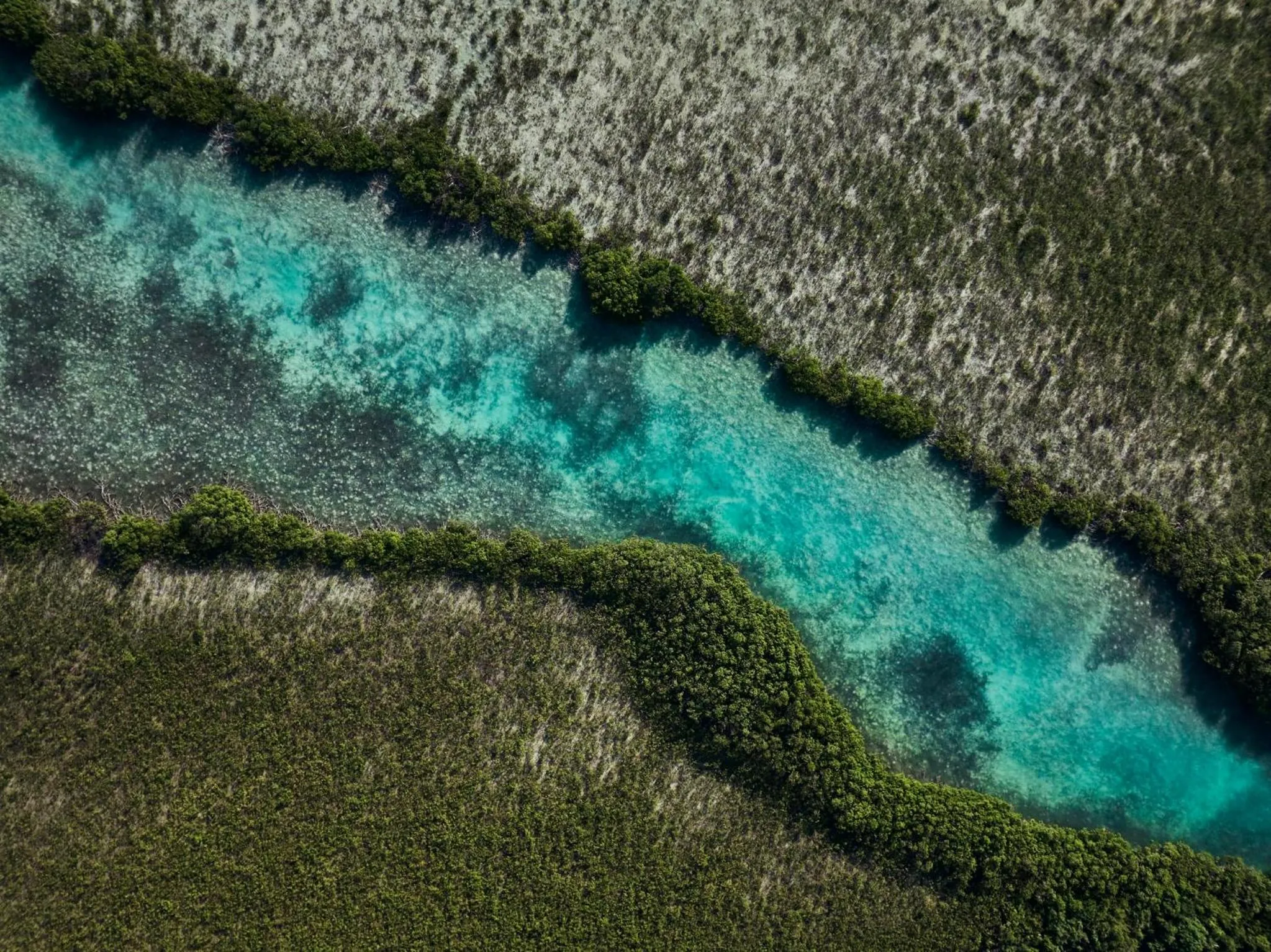 Bird's eye view in COMO Parrot Cay