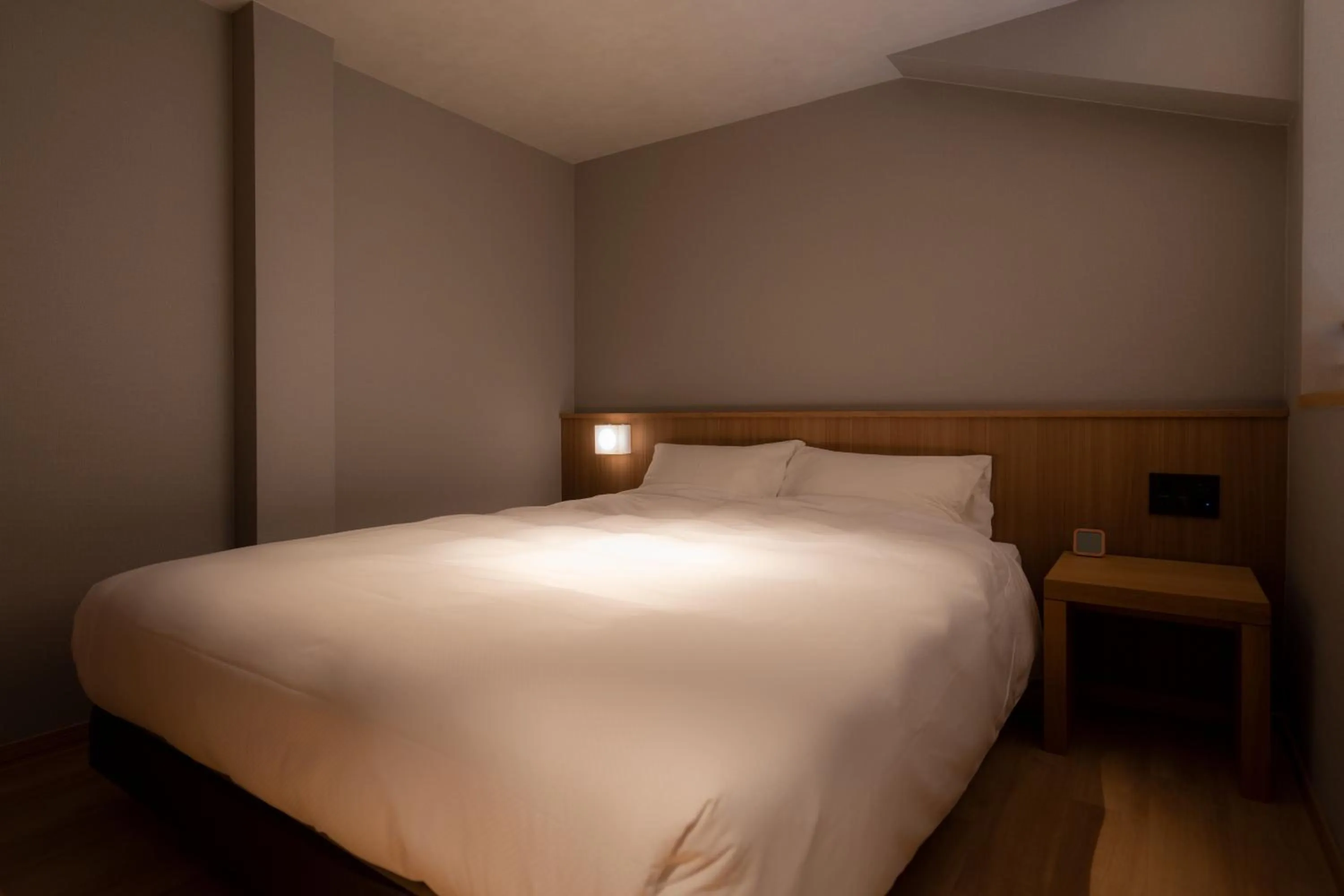 Photo of the whole room, Bed in Higashikawa Asahidake Onsen Hotel Bear Monte