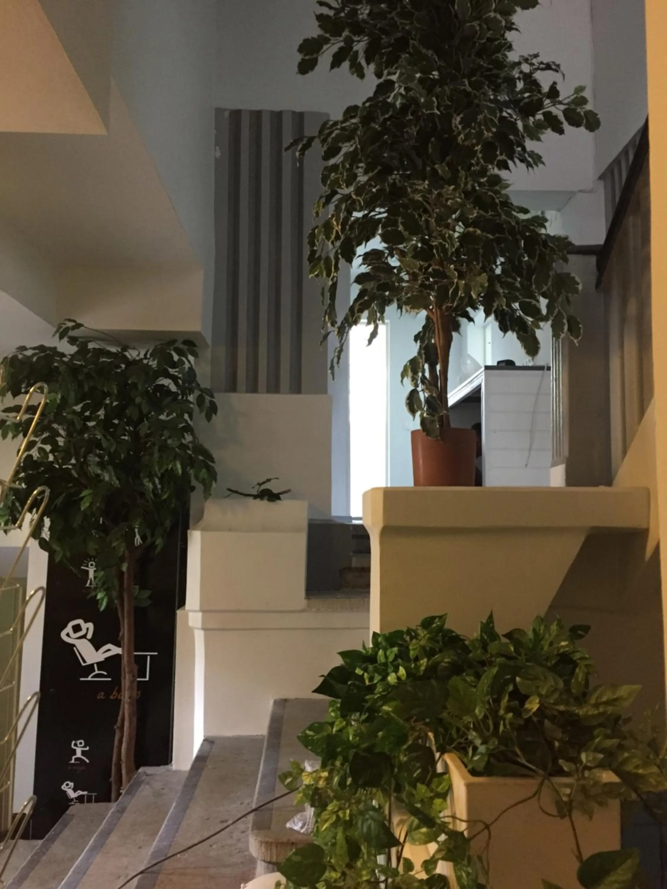 Garden in Freedom65 Hostel and Caravan