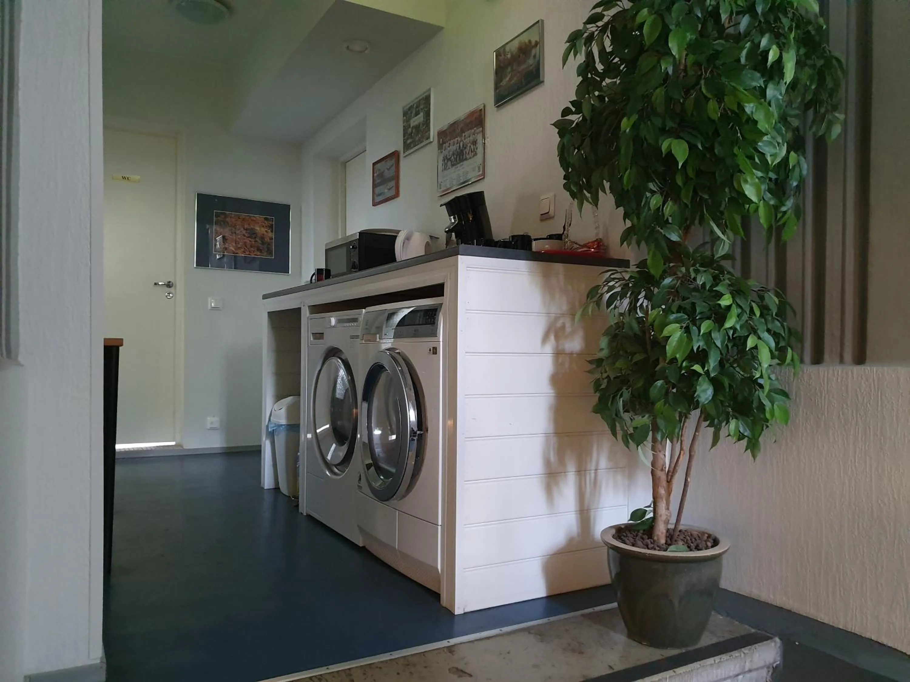 washing machine in Freedom65 Hostel and Caravan