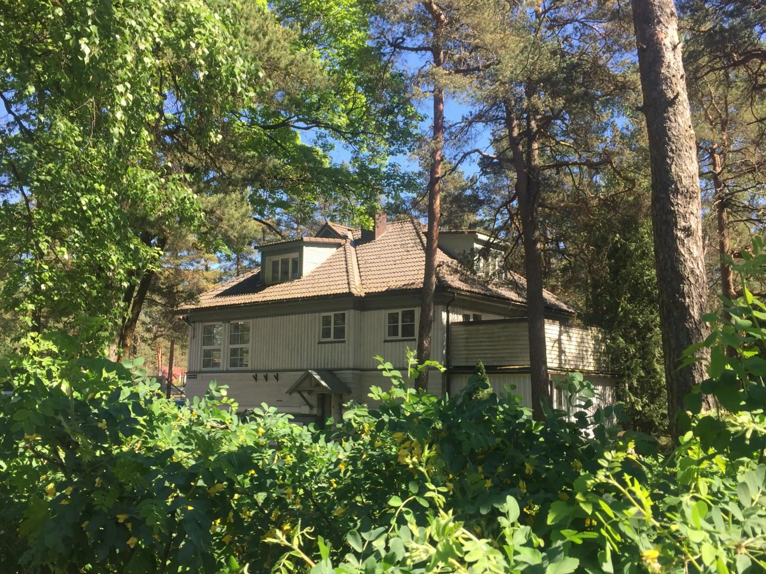 Property building in Freedom65 Hostel and Caravan