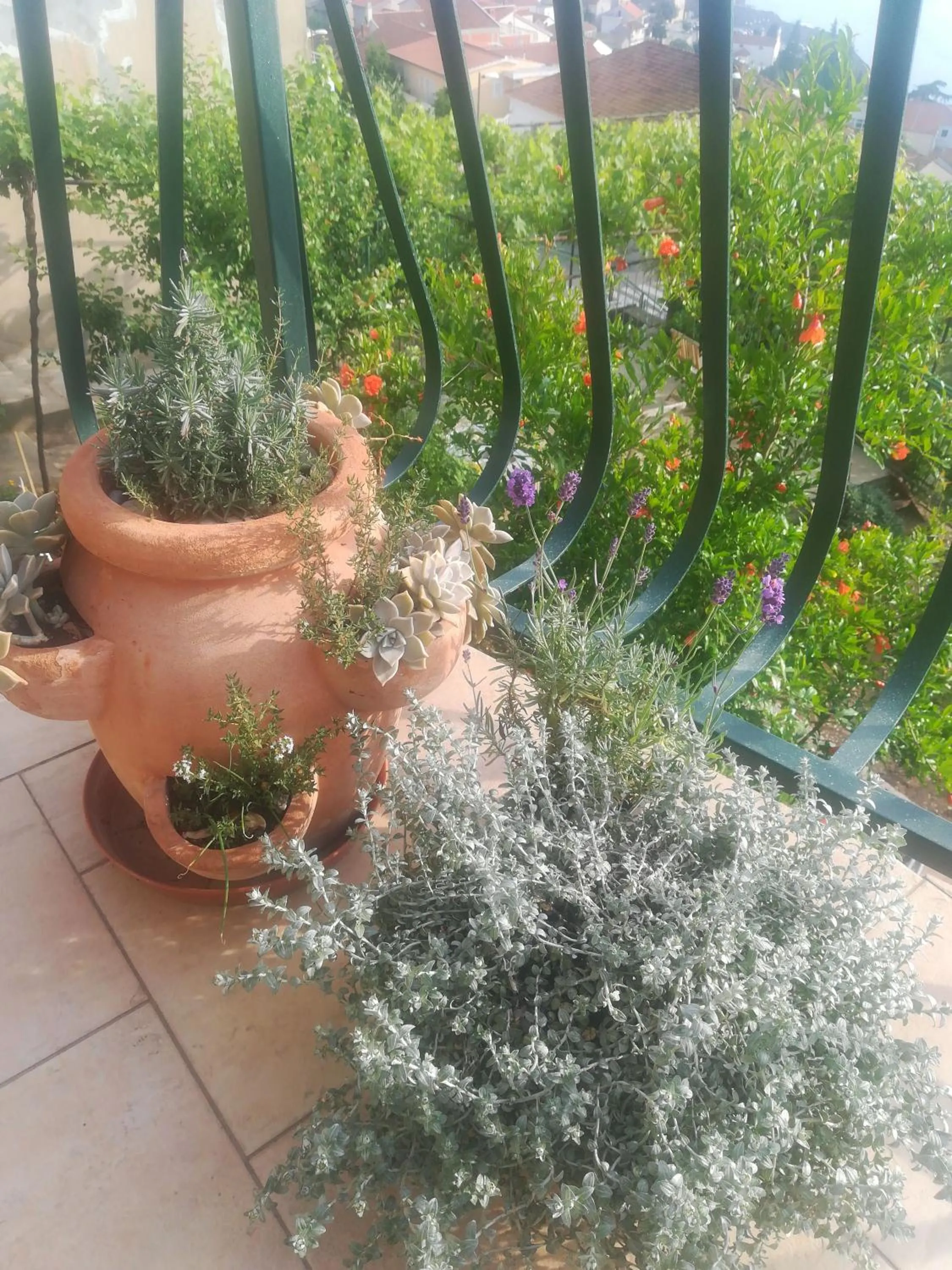 Balcony/Terrace in Apartman Betty