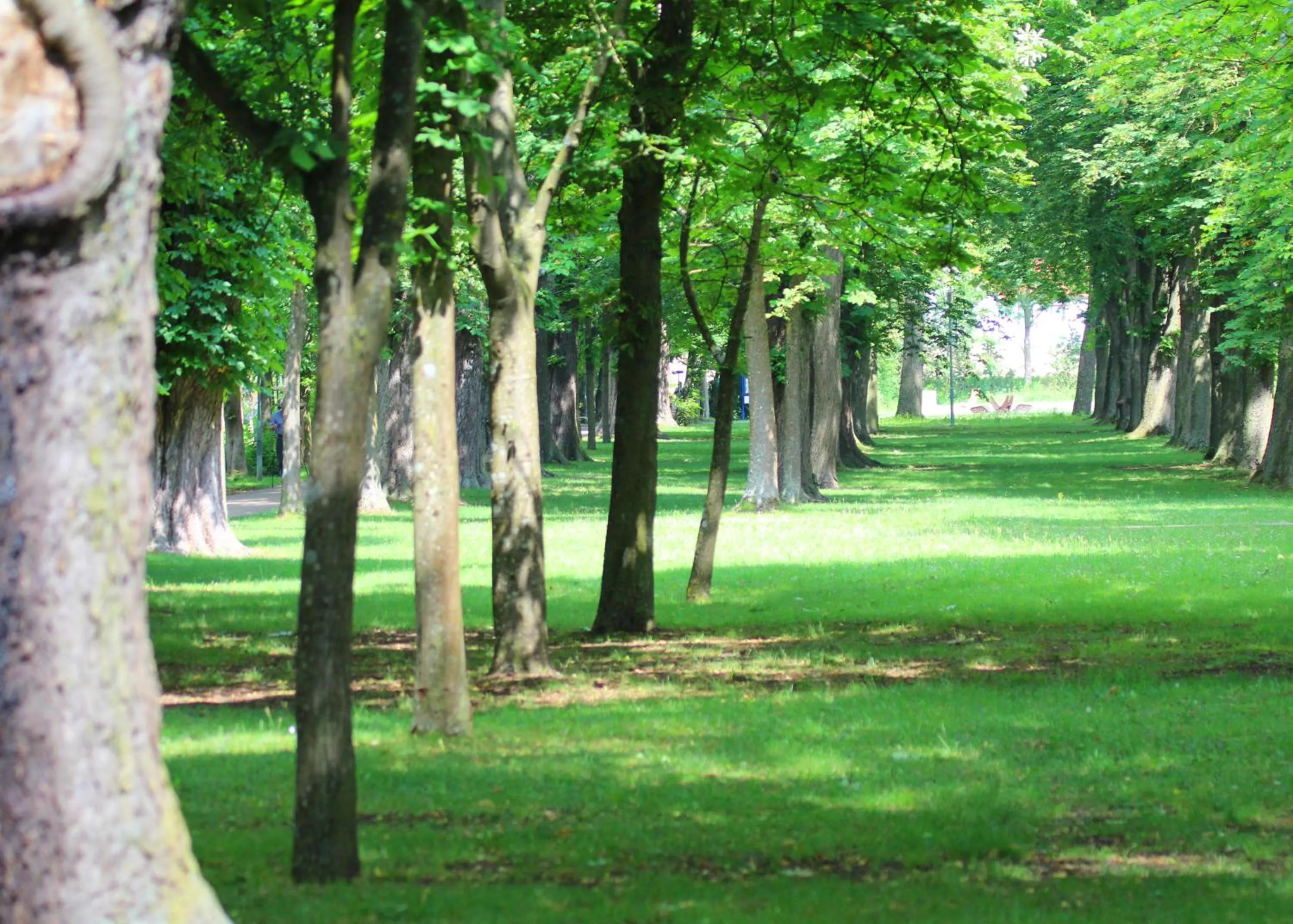 Day in Reichels Parkhotel