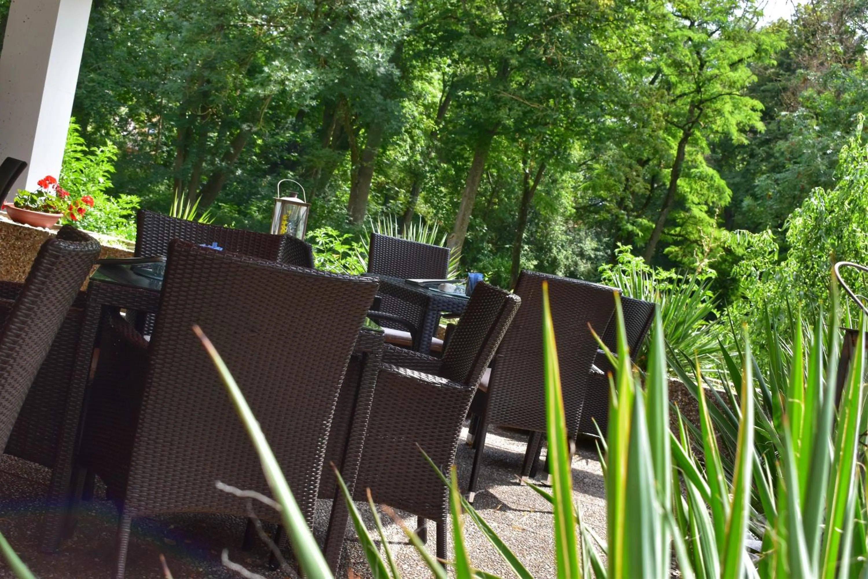 Balcony/Terrace in Reichels Parkhotel