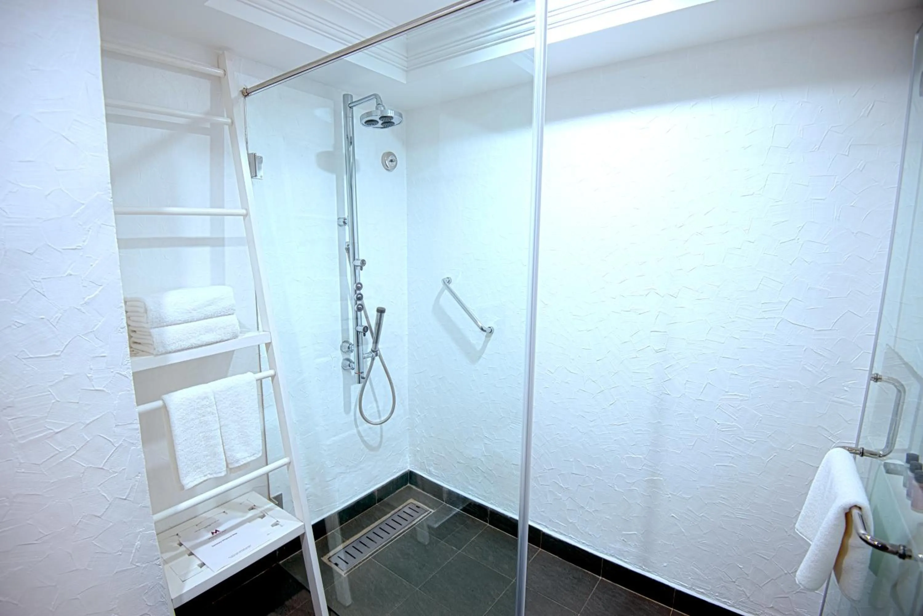 Shower in Sterlings Mac Hotel