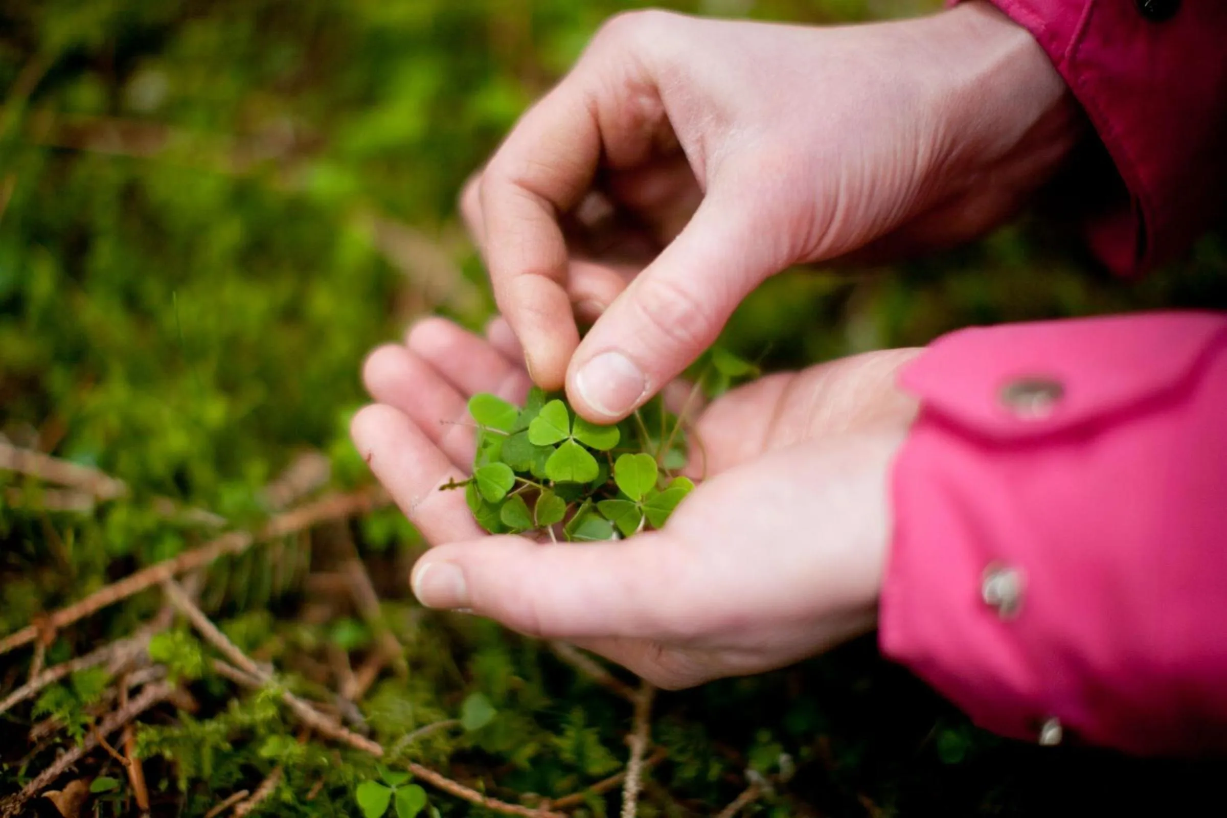 Other in The Lovat, Loch Ness