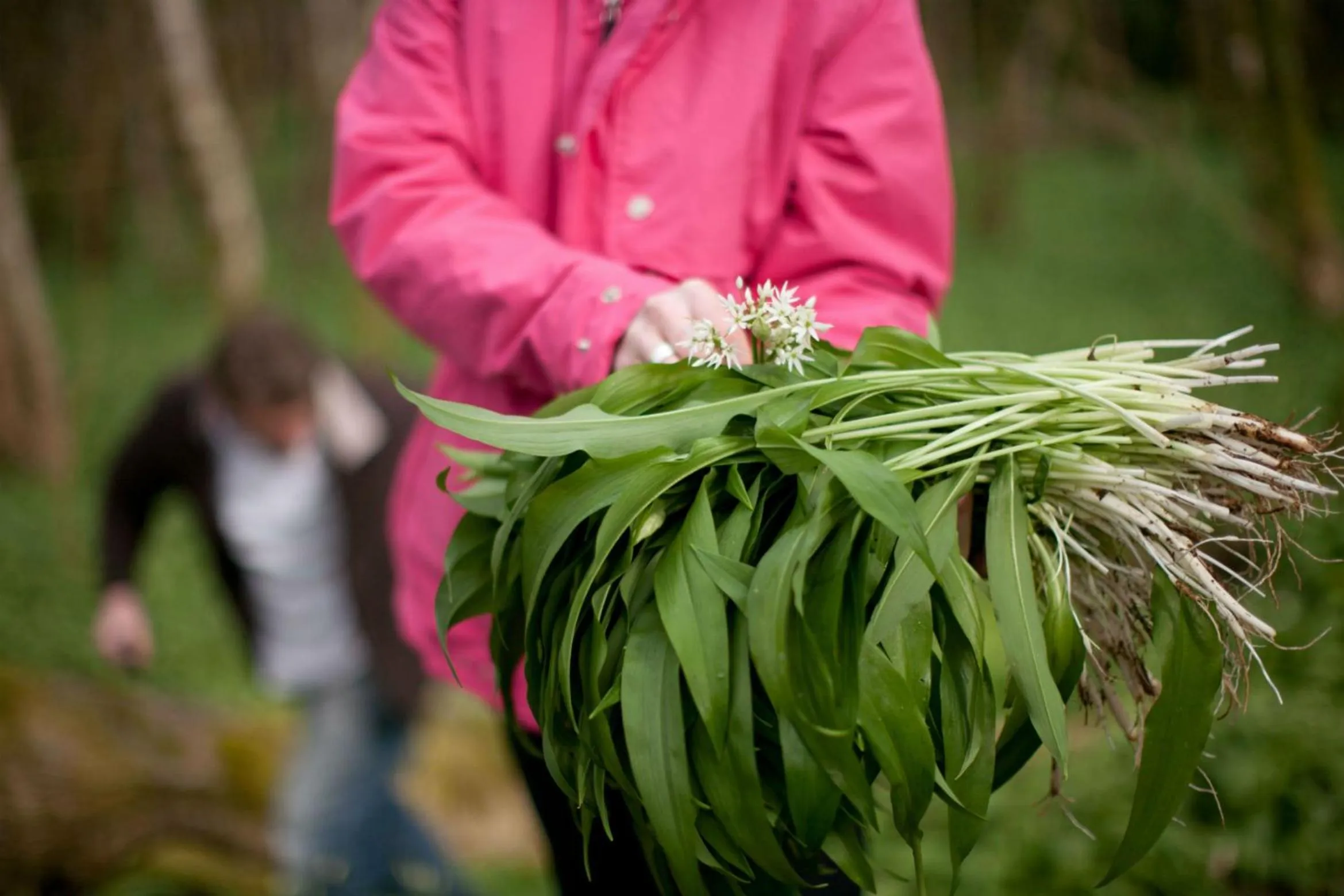 Other in The Lovat, Loch Ness