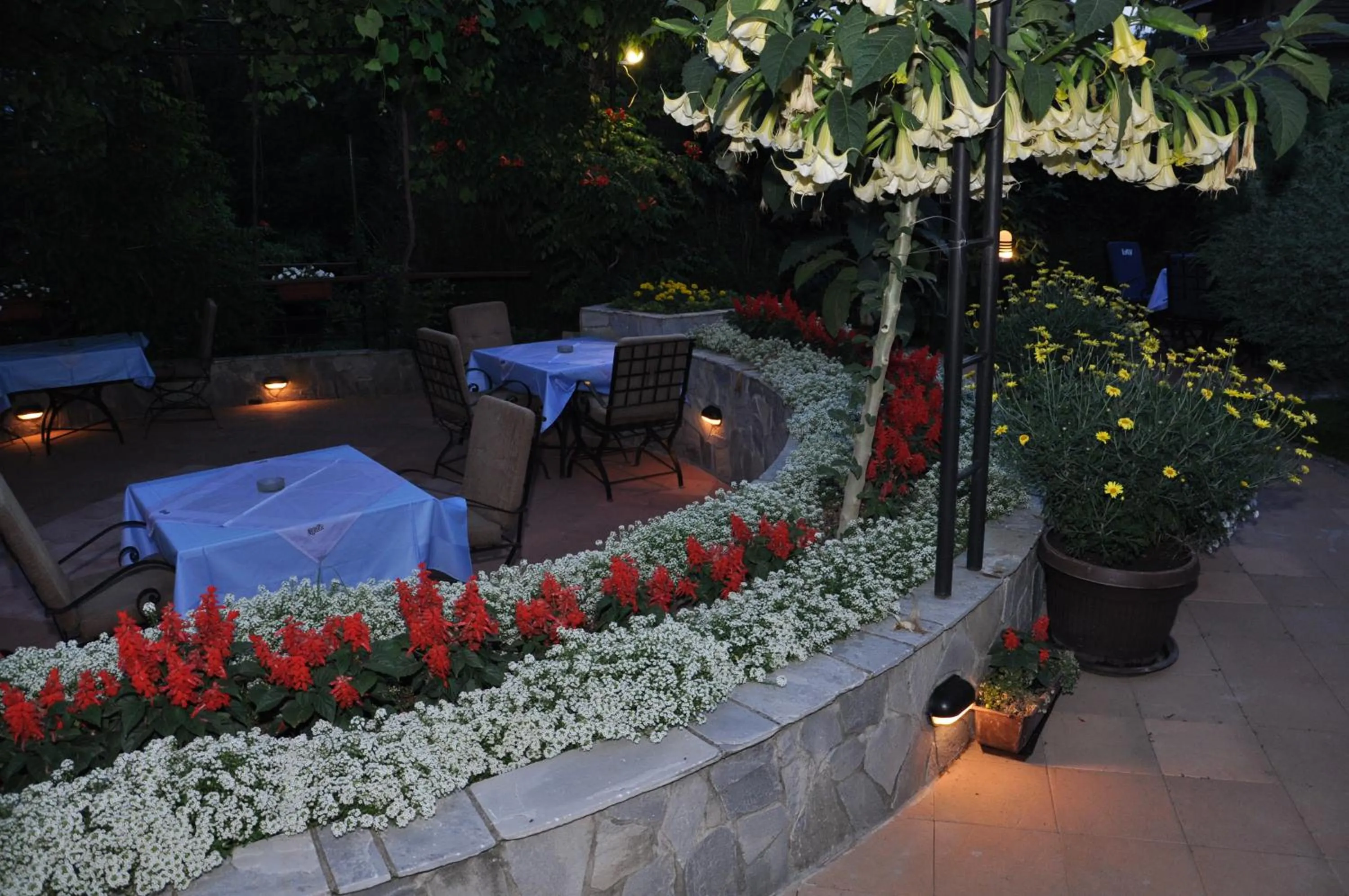 Restaurant/places to eat in Hotel Royal