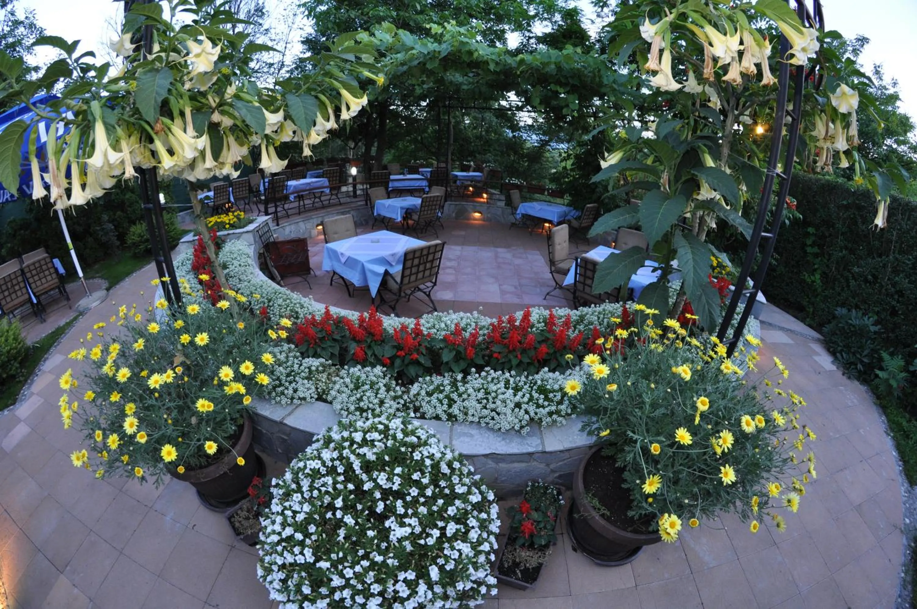 Patio in Hotel Royal