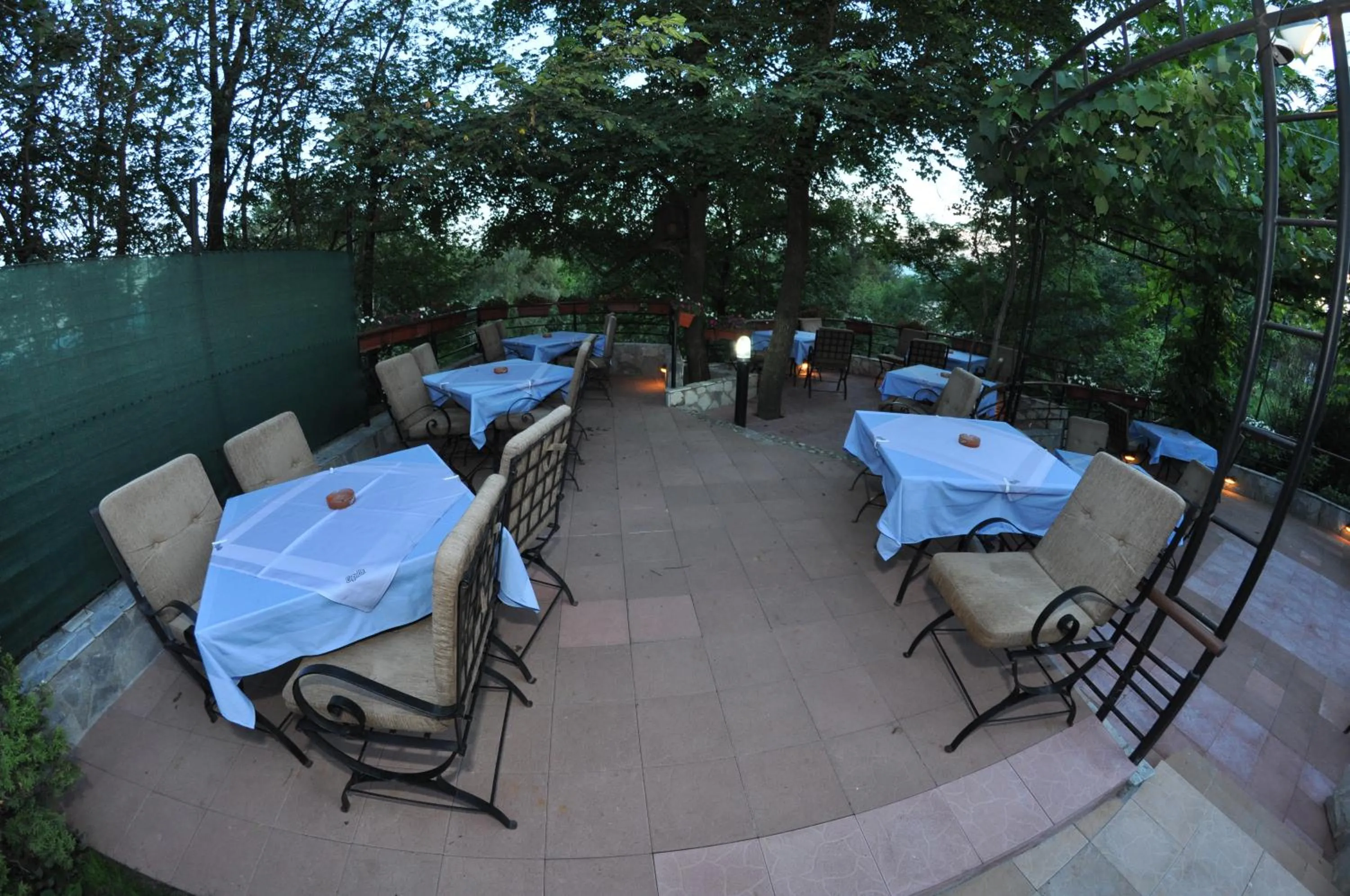 Patio in Hotel Royal