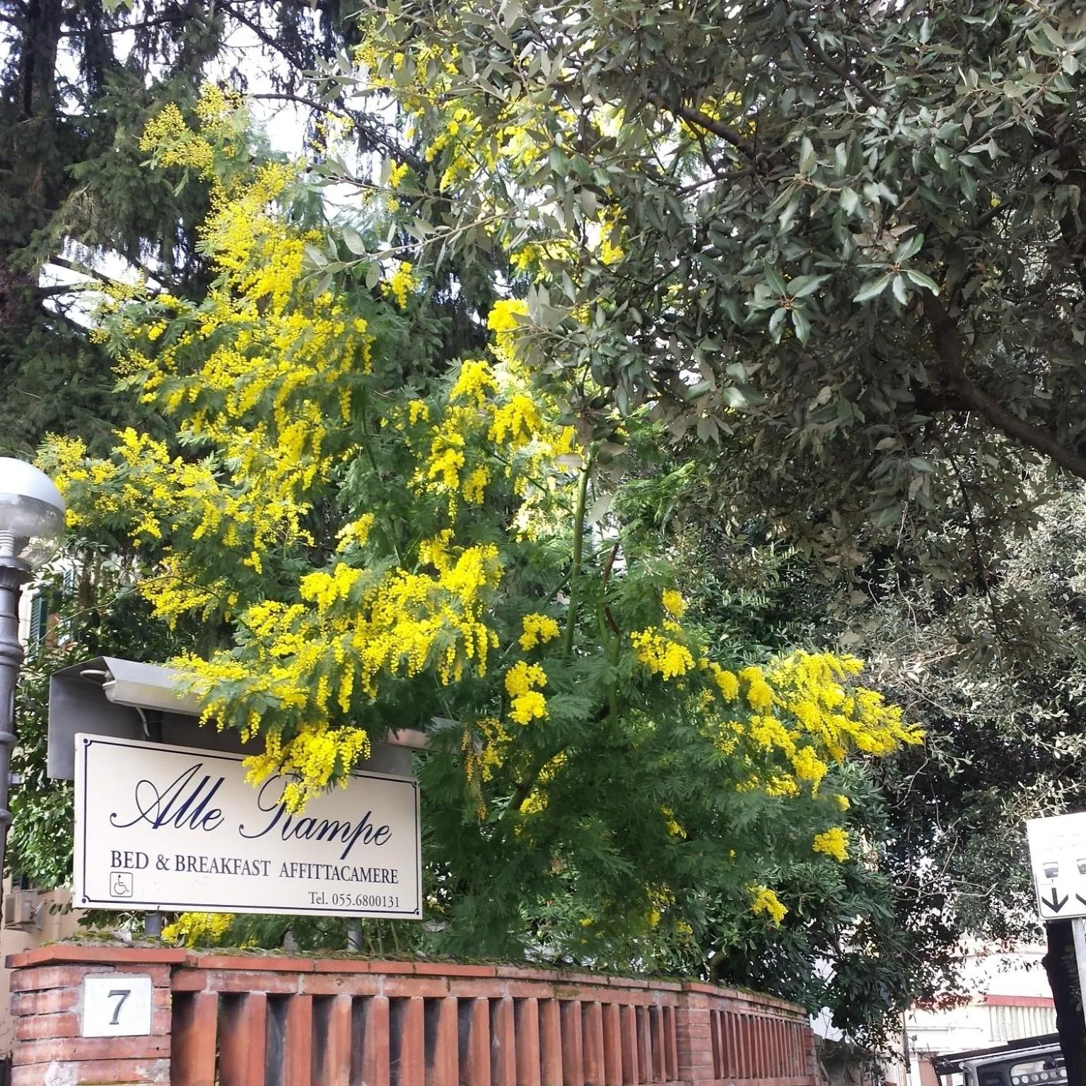 Garden in Villa Alle Rampe