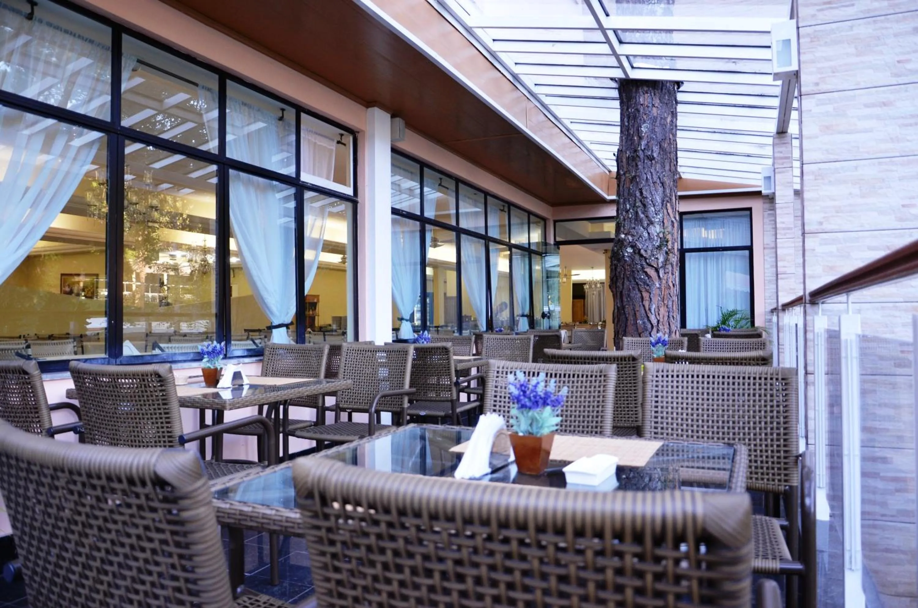 Restaurant/places to eat in Hotel Green Hill