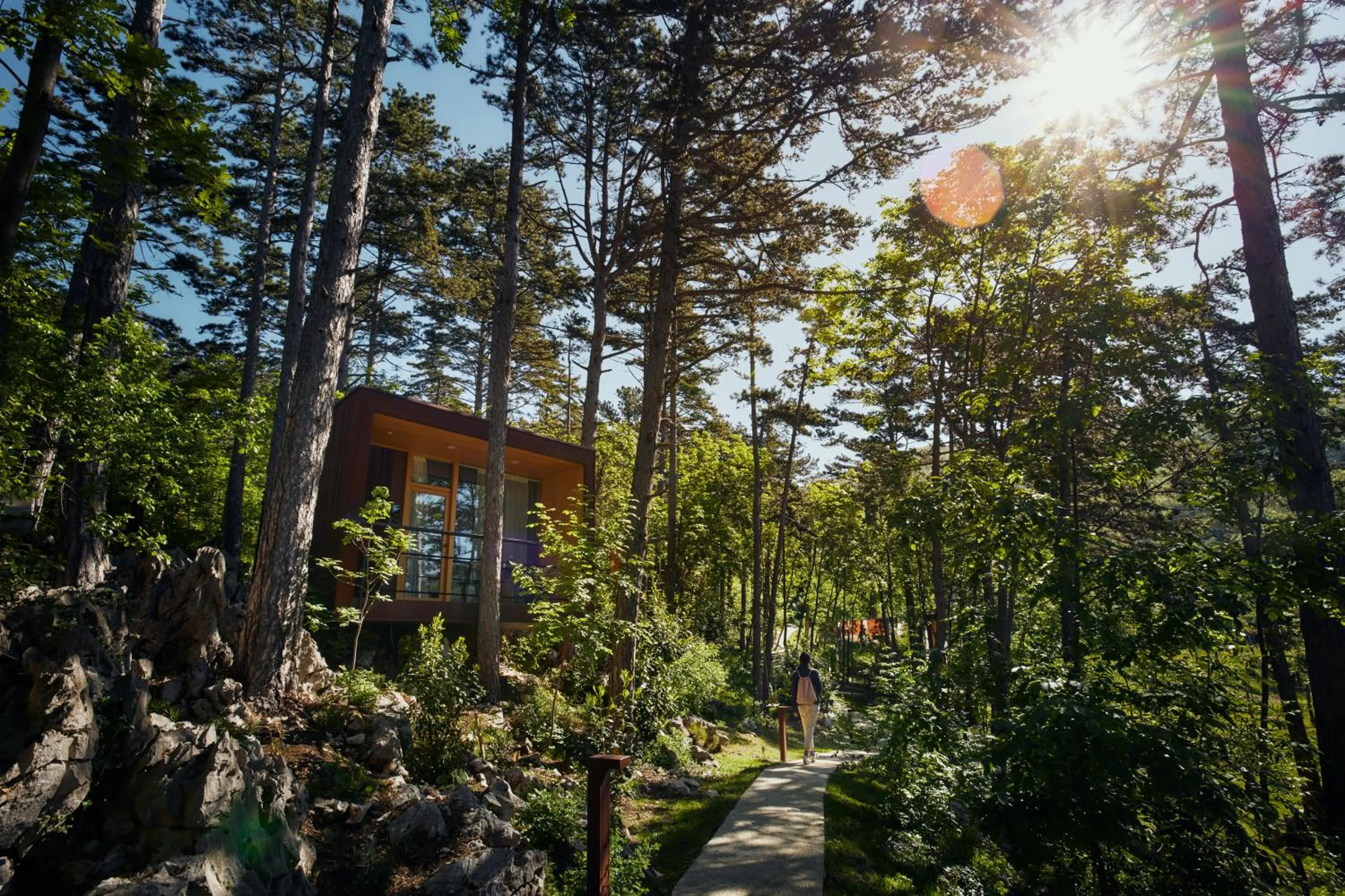 Day in Theodosius Forest Village - Glamping in Vipava valley