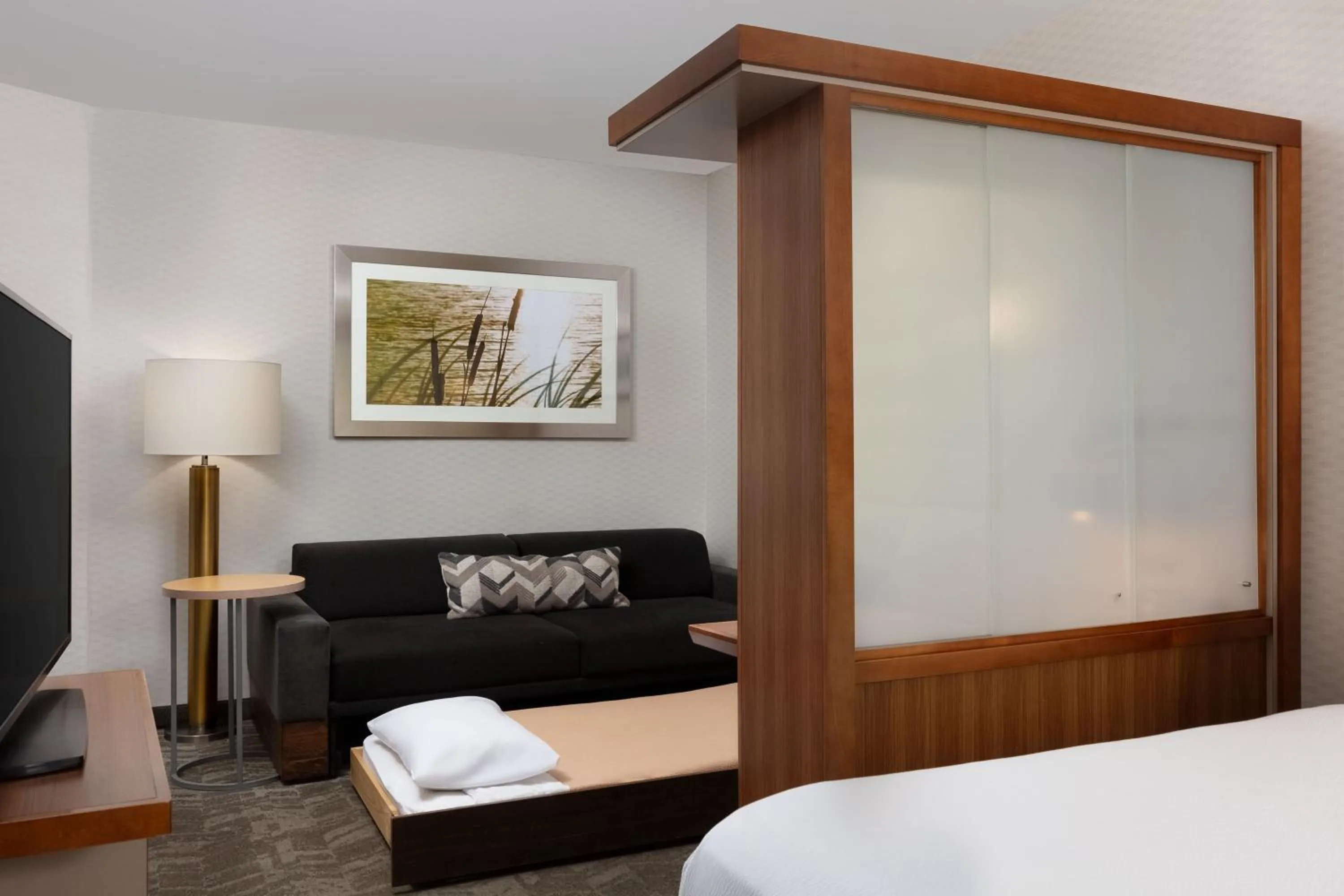 Photo of the whole room, Bed in SpringHill Suites by Marriott Grand Junction Downtown/Historic Main Street