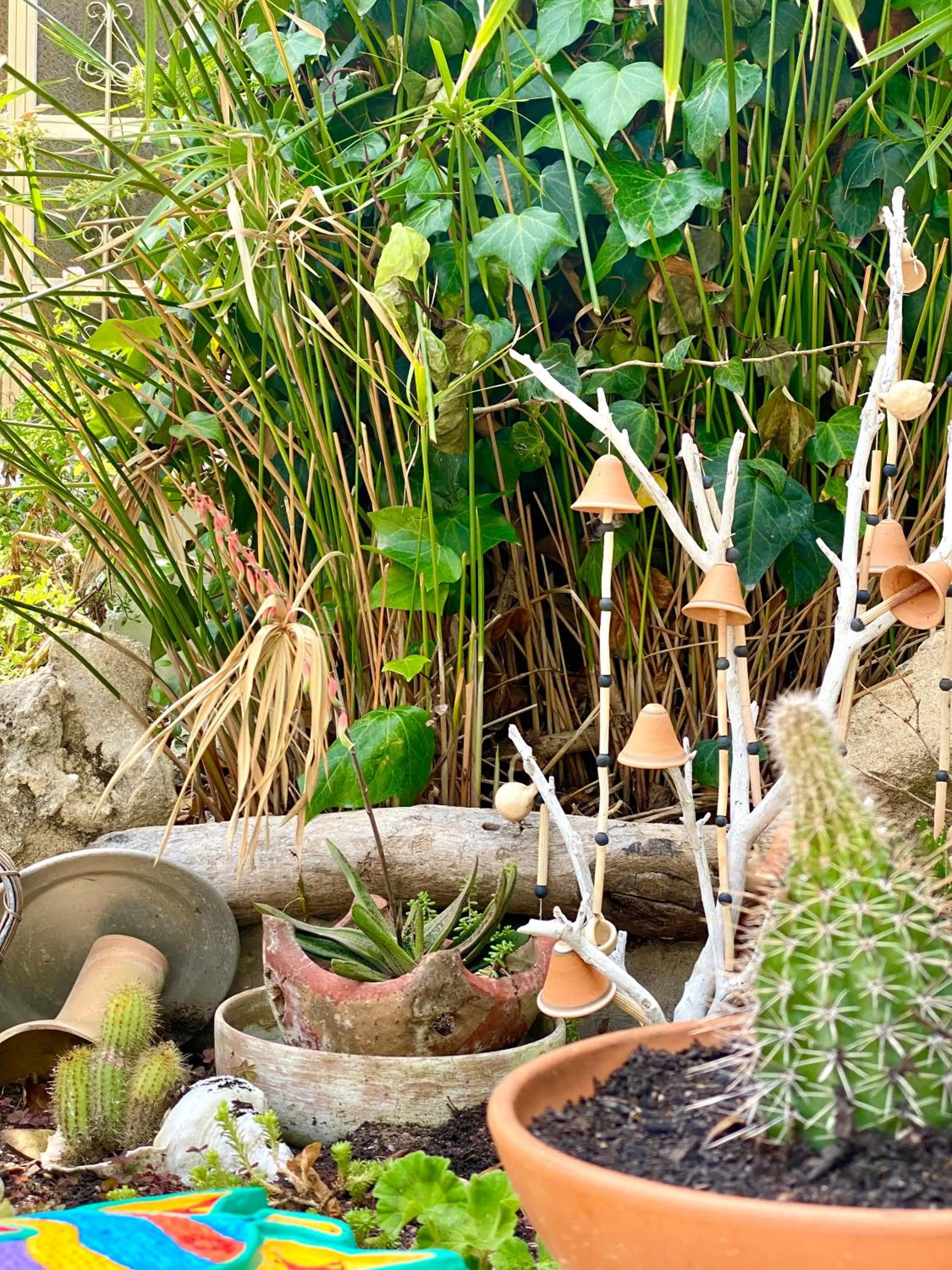 Garden in Villa Rocco Rooms