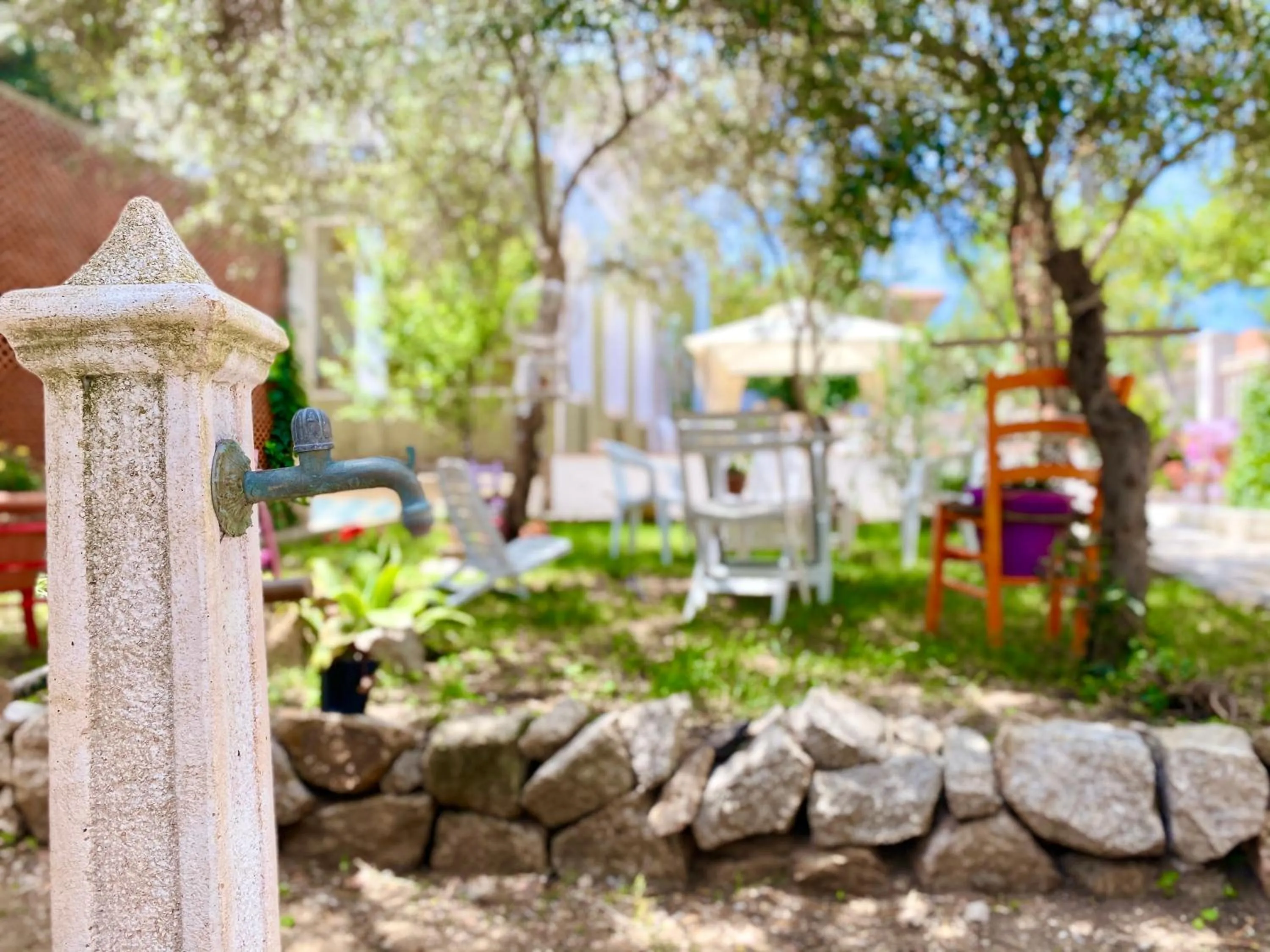 Garden in Villa Rocco Rooms