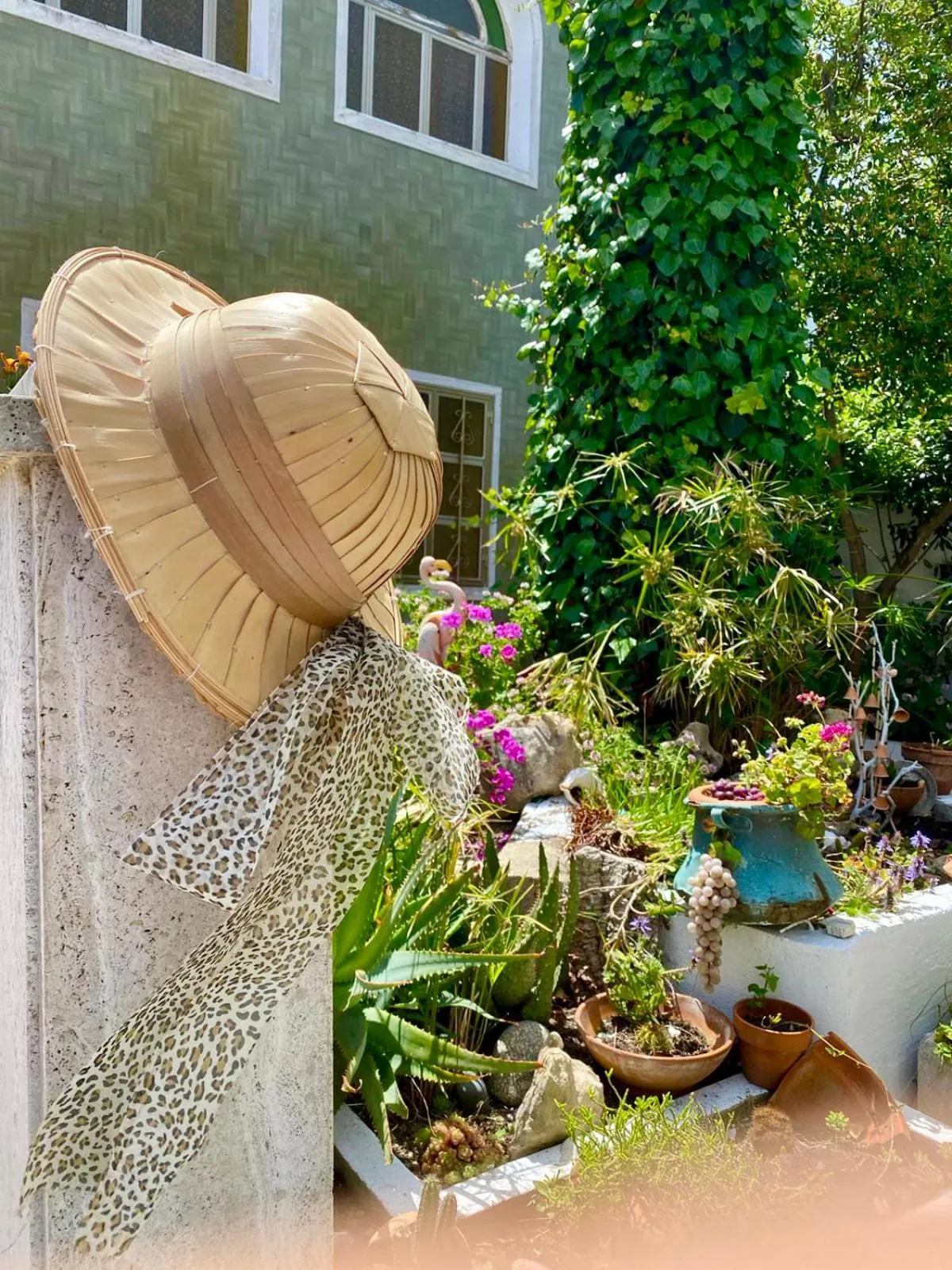 Patio in Villa Rocco Rooms