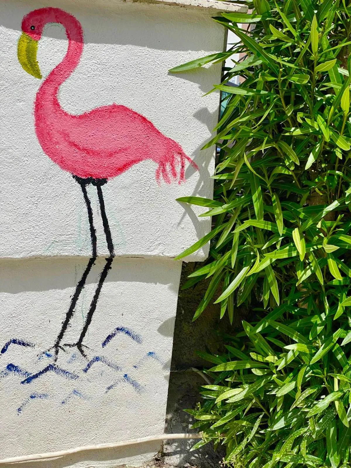 Garden in Villa Rocco Rooms