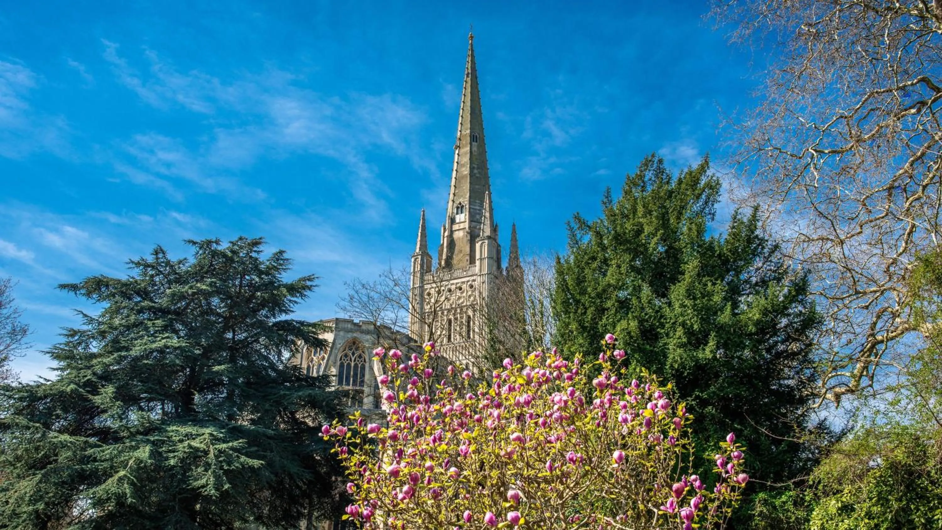 Nearby landmark in Holiday Inn Norwich, Ipswich Road by IHG