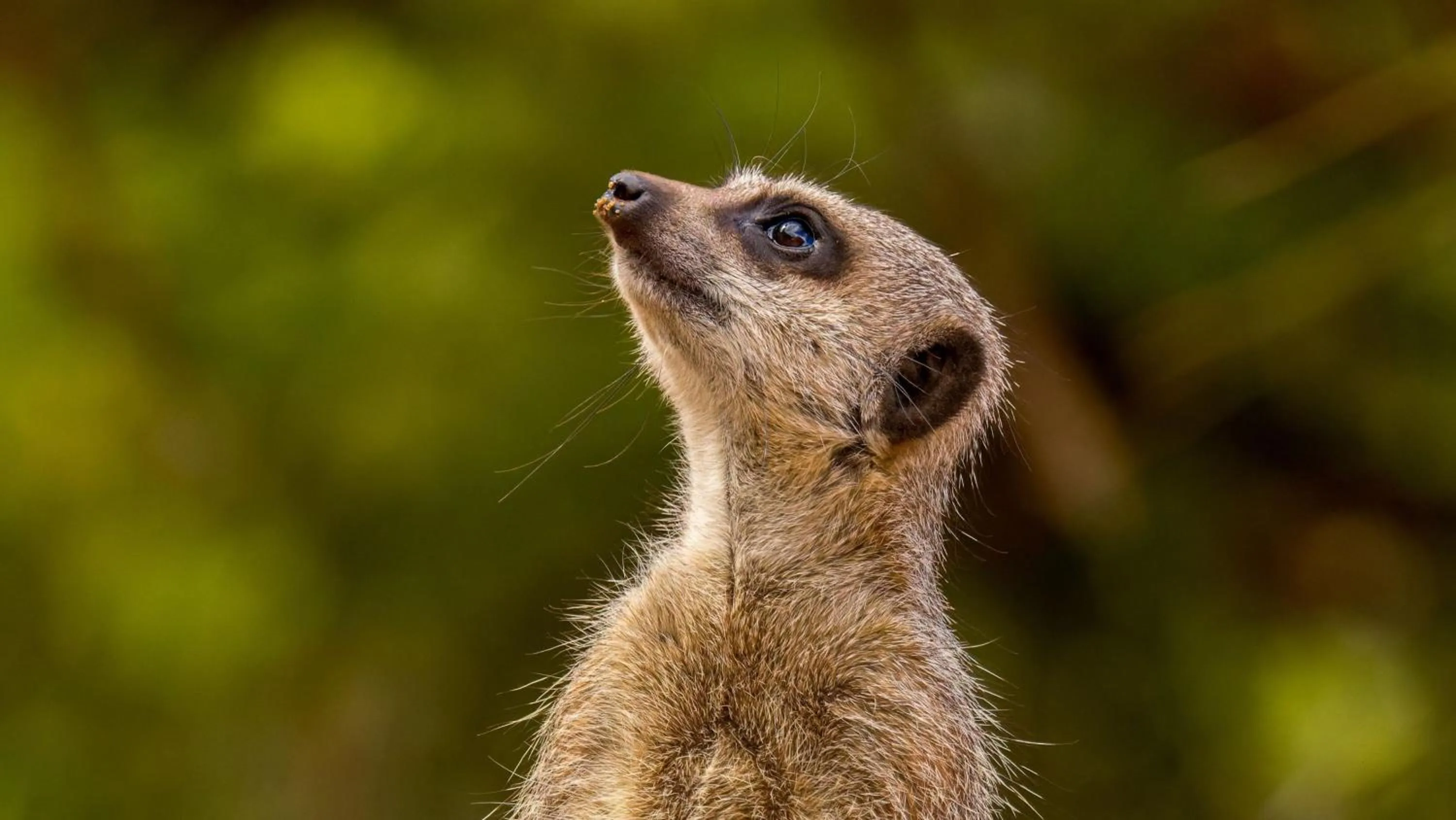 Nearby landmark in Holiday Inn Norwich, Ipswich Road by IHG