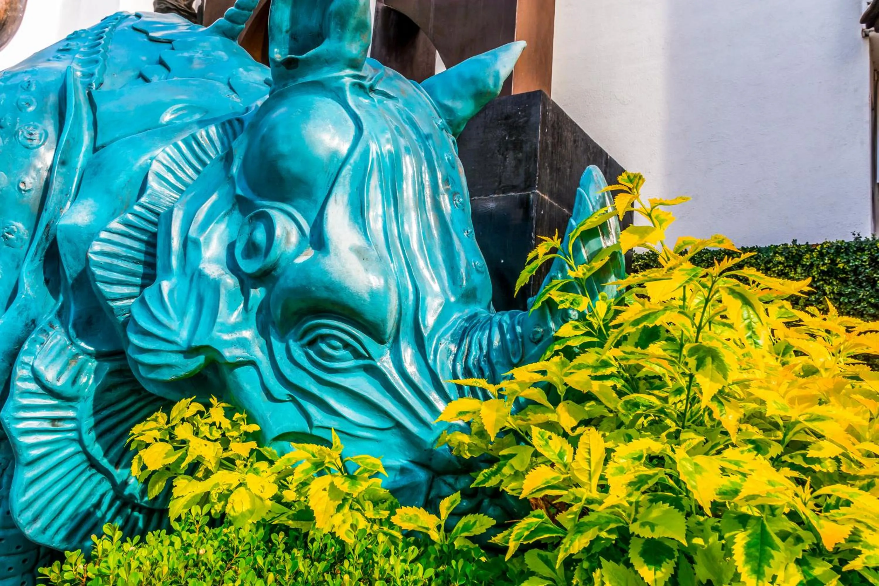 On site in European Life Style Executive Suites