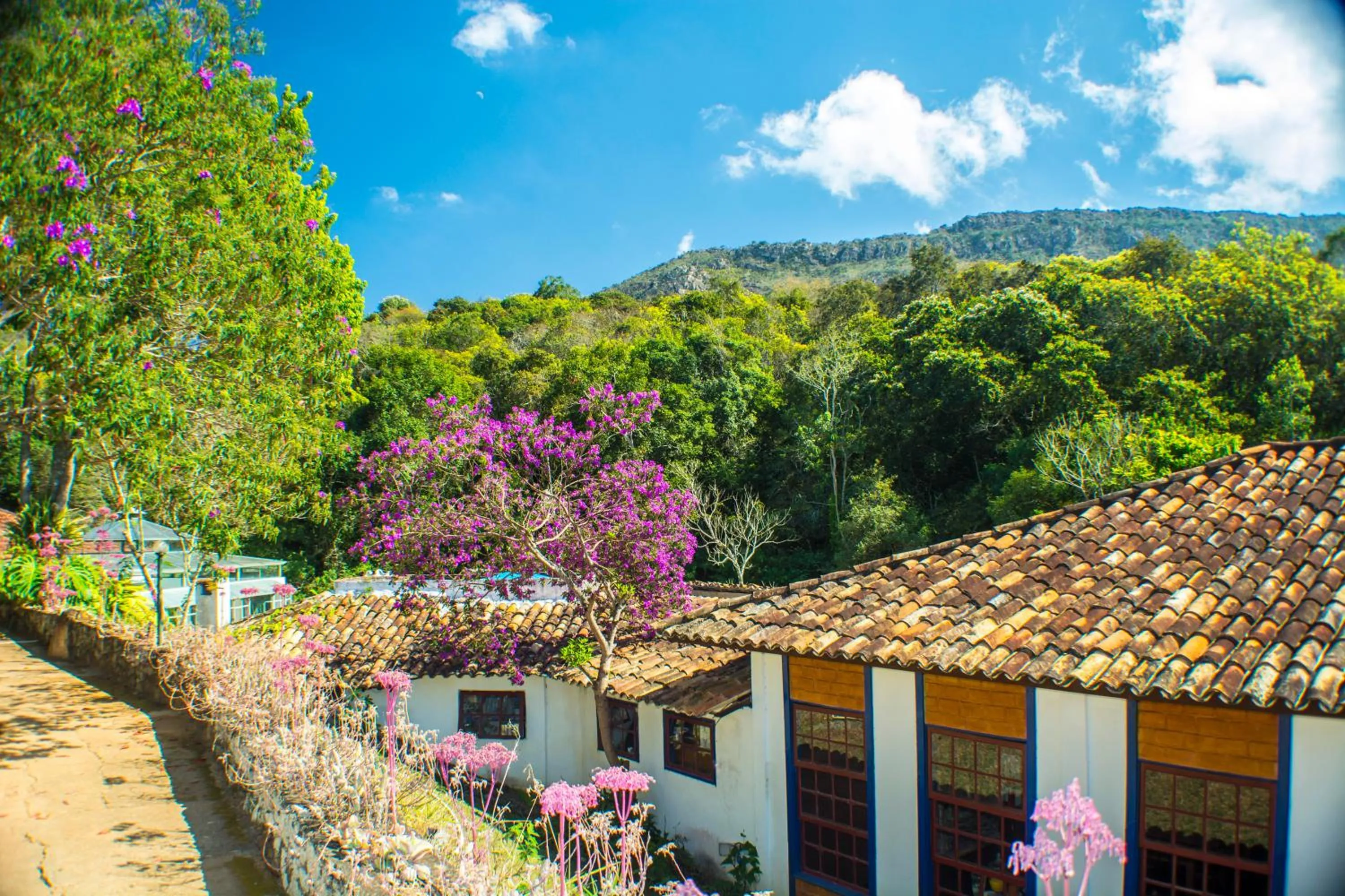 Natural landscape in Pousada Candonga da Serra