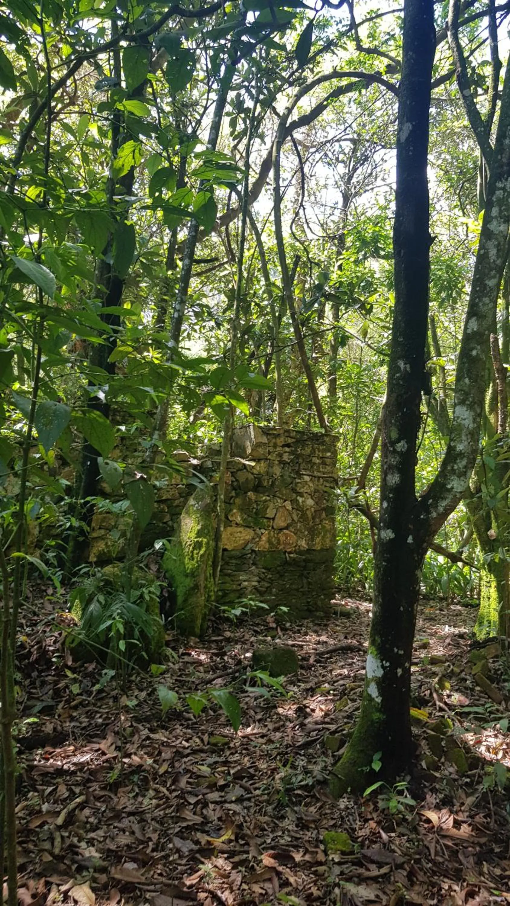 Hiking in Pousada Candonga da Serra