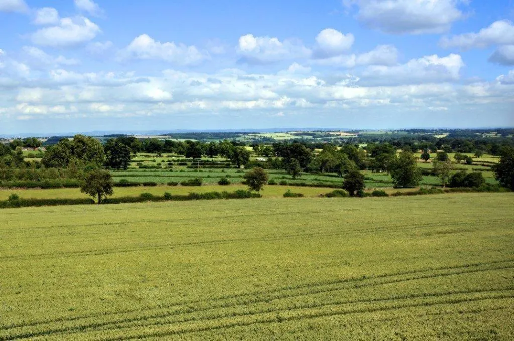 Garden in Black Swan Inn