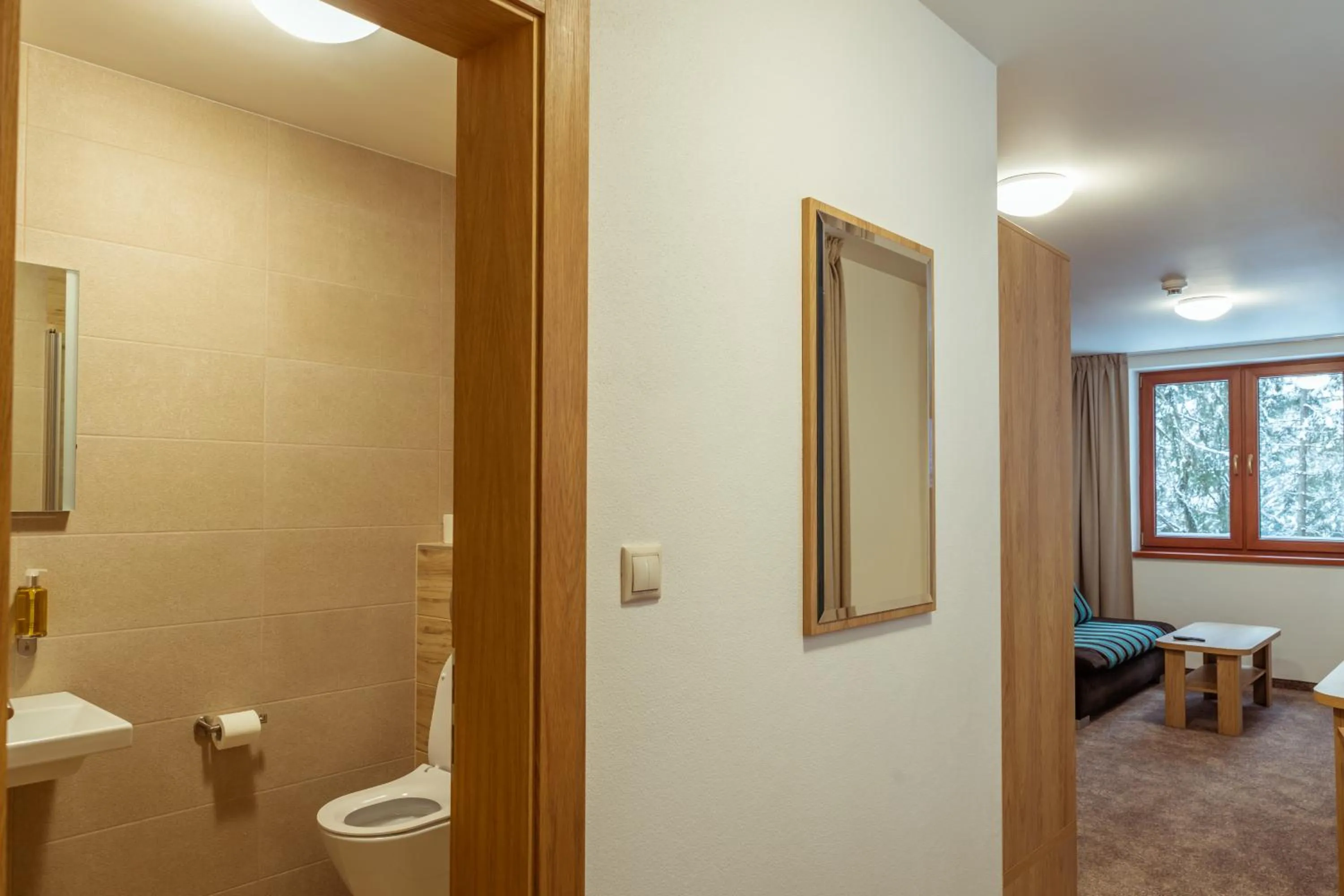 Bathroom in Hotel Jasná