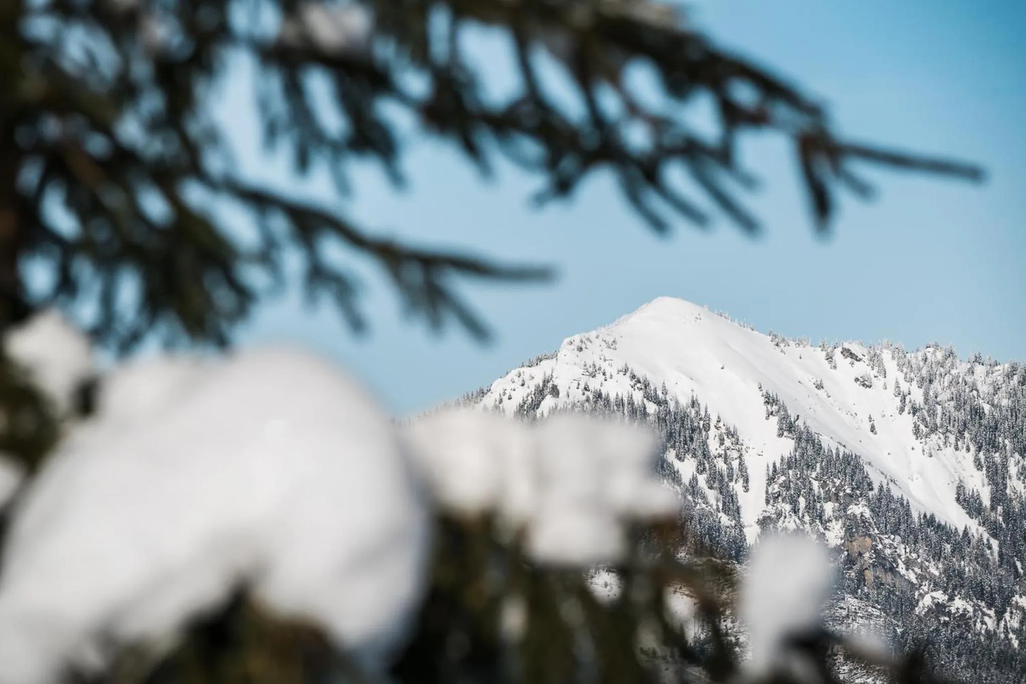 Natural landscape in Hotel Jasná