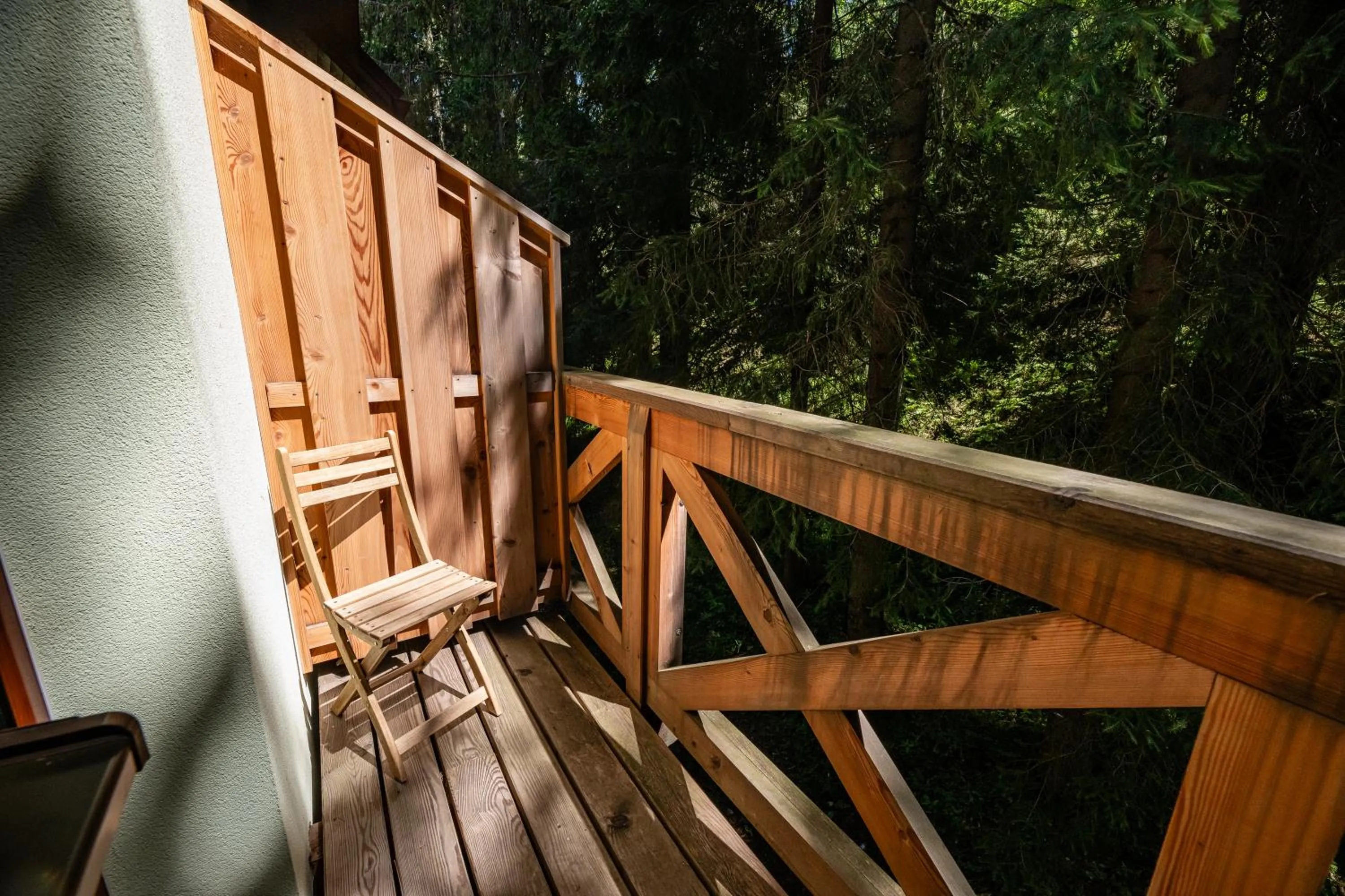 Balcony/Terrace in Hotel Jasná