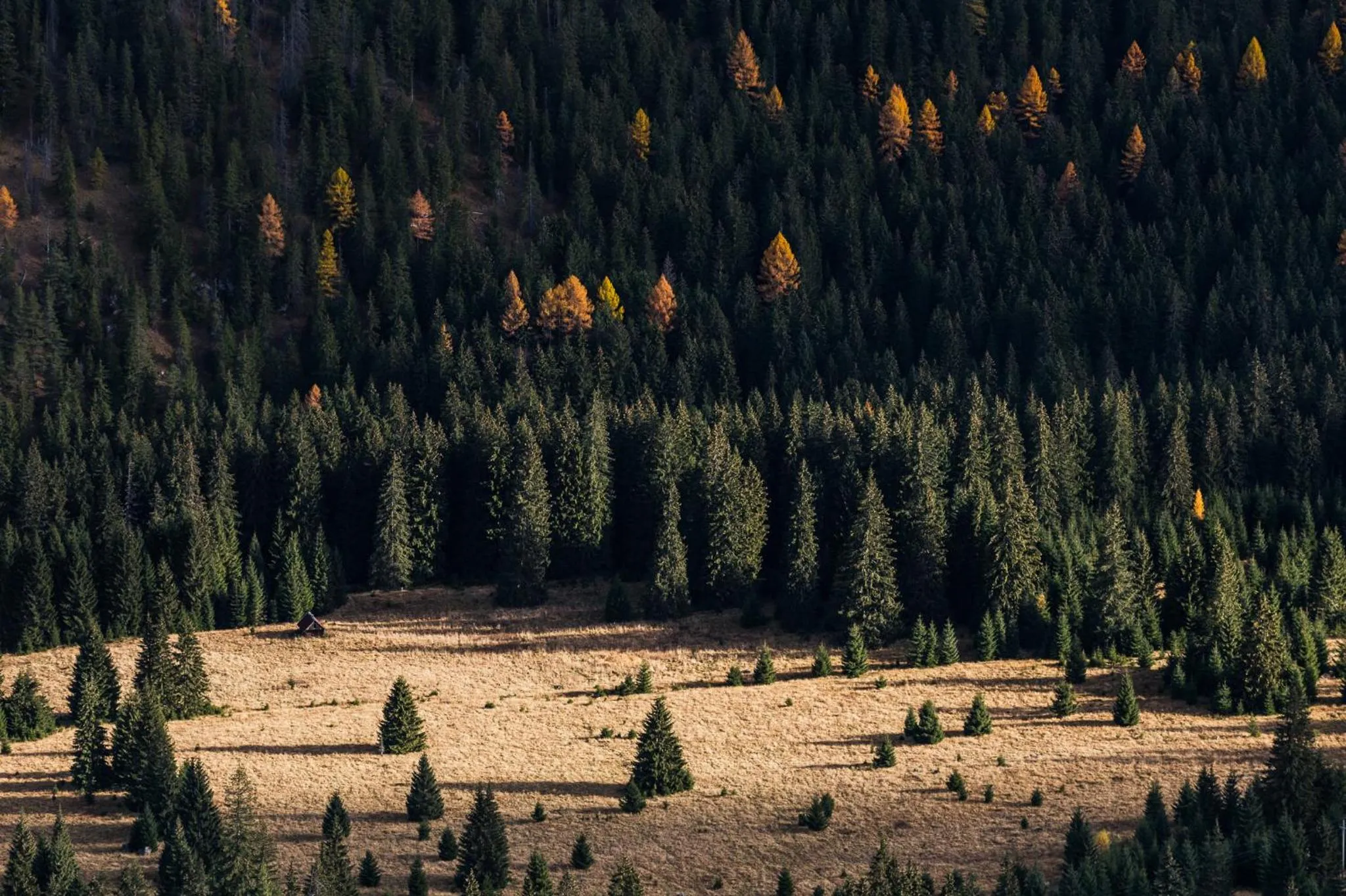 Natural landscape in Hotel Jasná