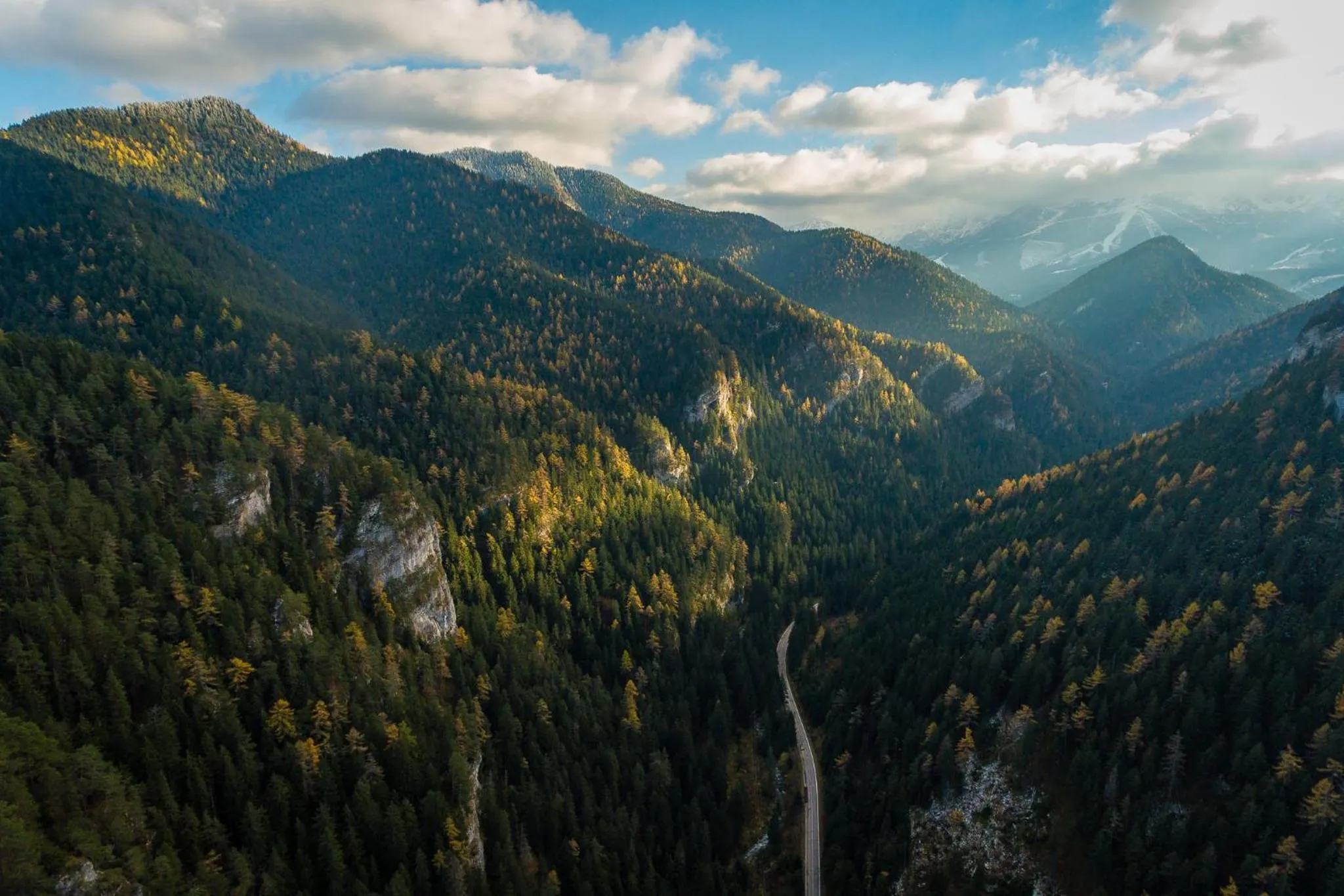 Natural landscape in Hotel Jasná