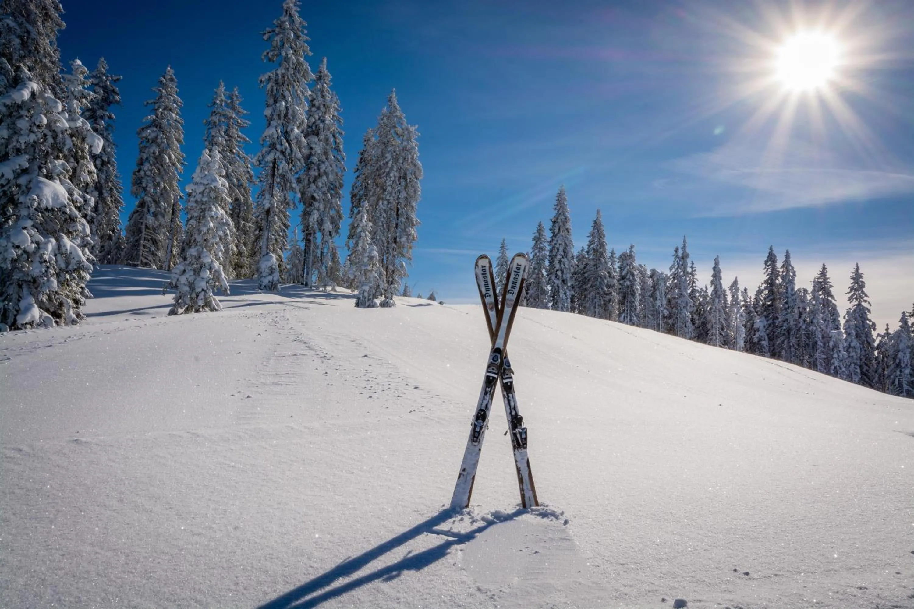 Hotel-Restaurant Schwaiger***