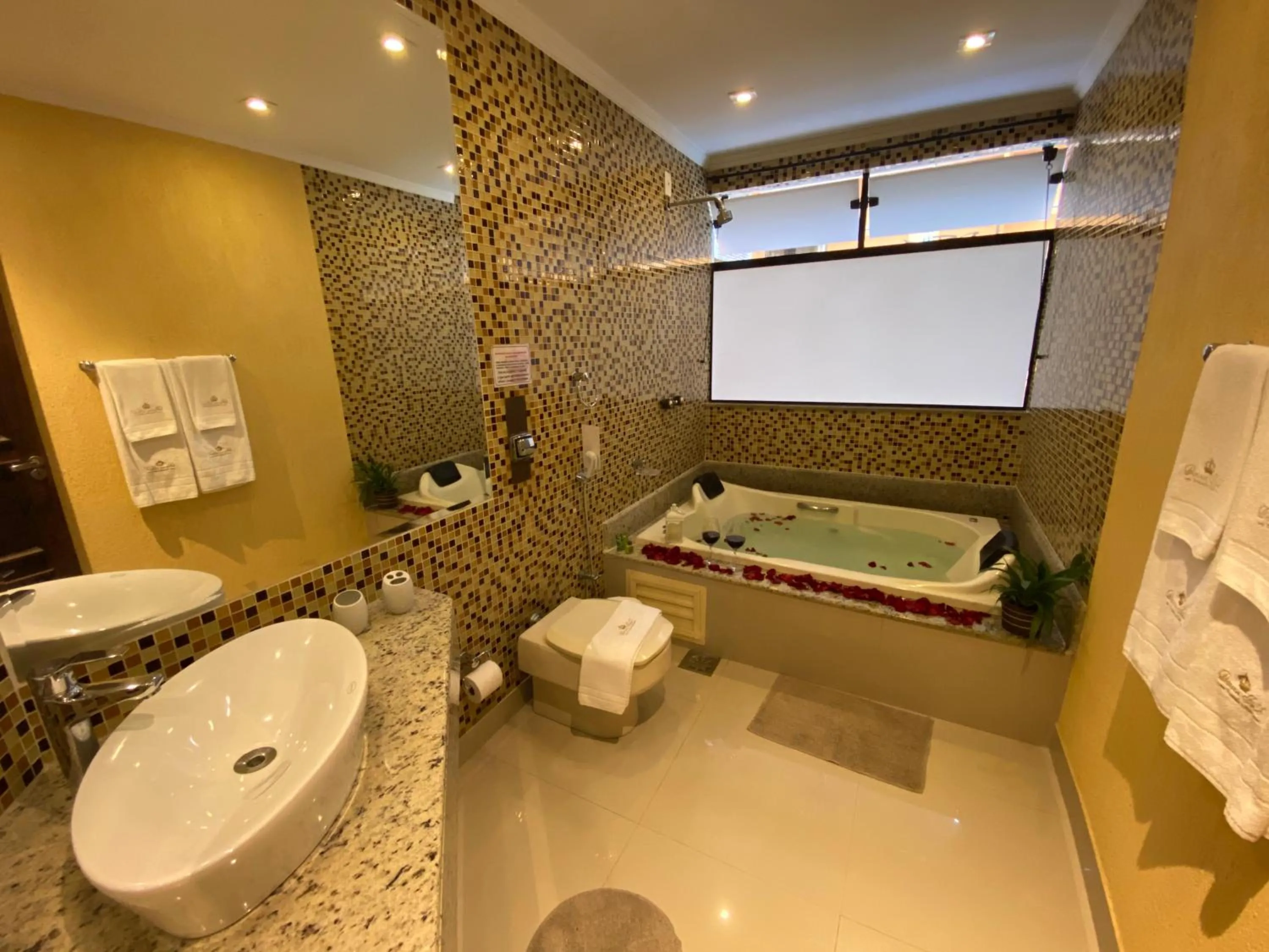 Toilet in Princesa Isabel Pousada e Hotel – Dom Pedro